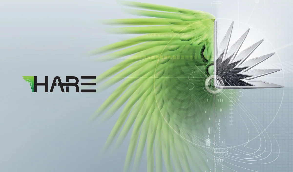 hare-visual.jpg