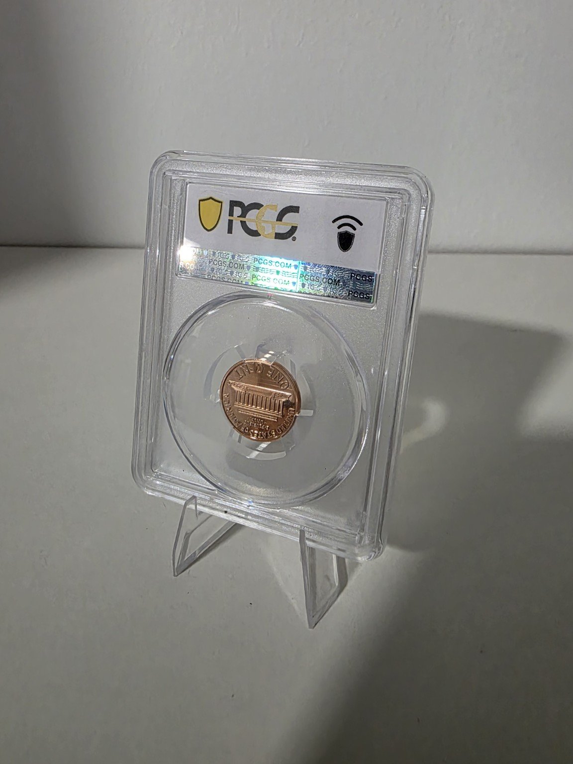 10-2247.jpg