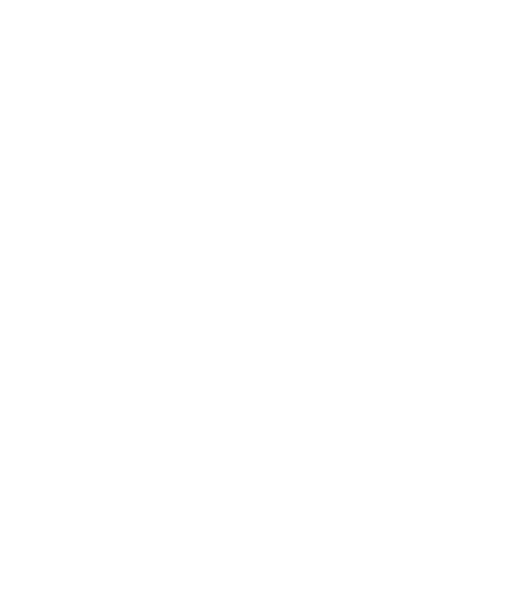 The Sink Boutique logo, sponsor of The South Asian Impact Project podcast