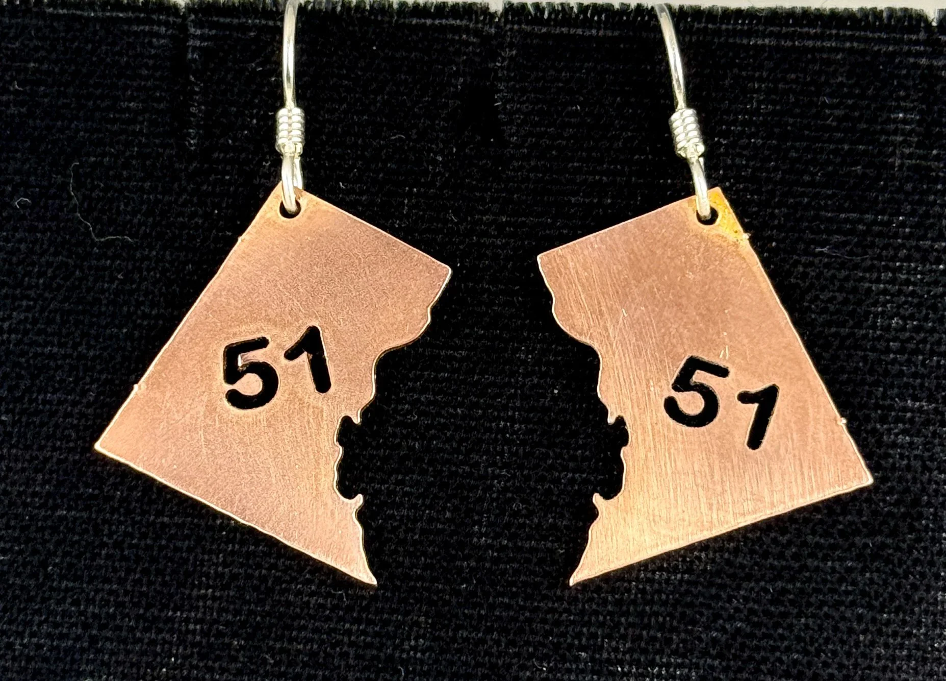 DC 51 Earrings & Fundraiser