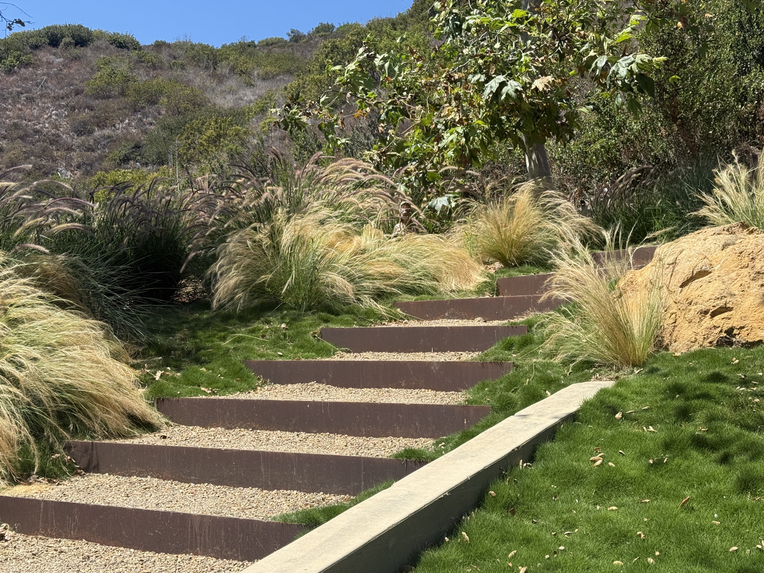 Stone steps leading up a landscaped hillside with ornamental grasses, bushes, trees, and large rocks.