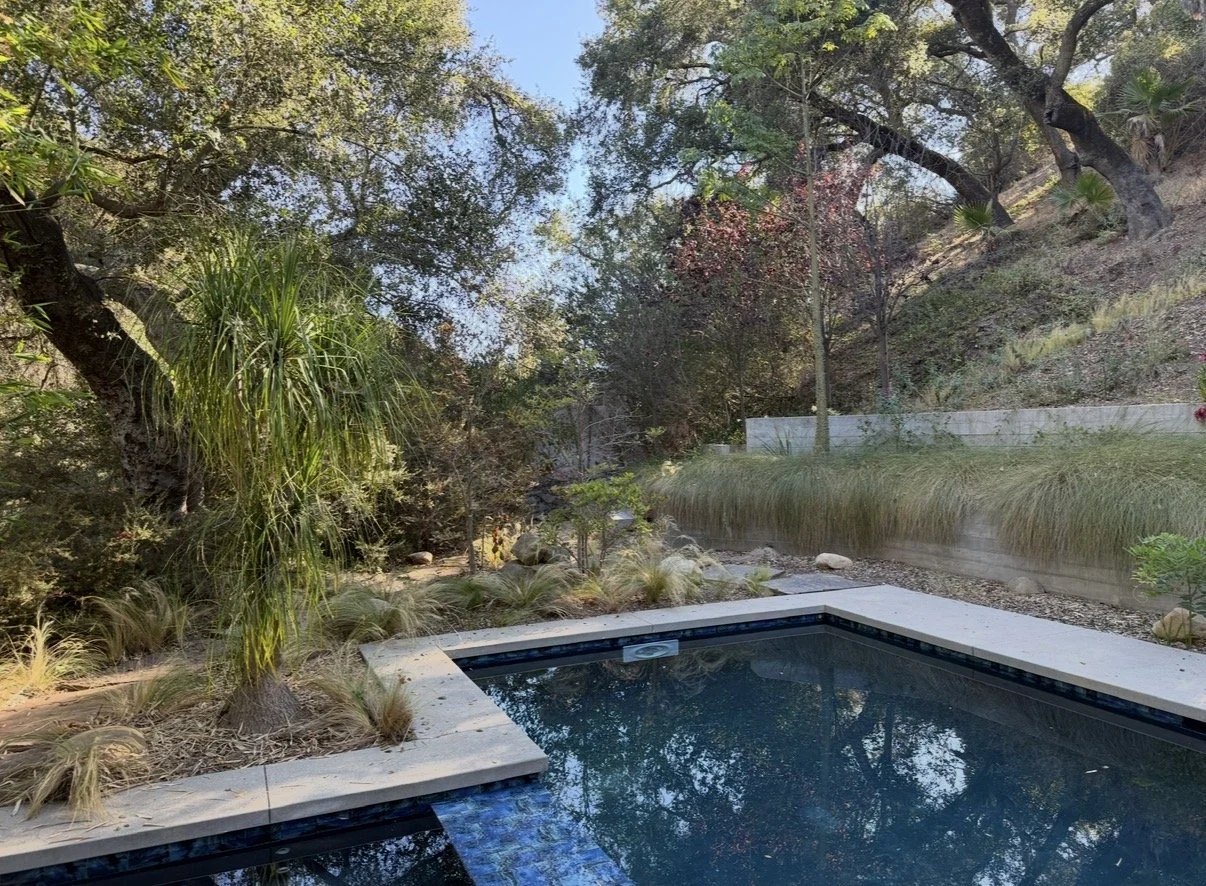 A backyard with a small pool surrounded by trees and shrubs, with a hillside in the background.
