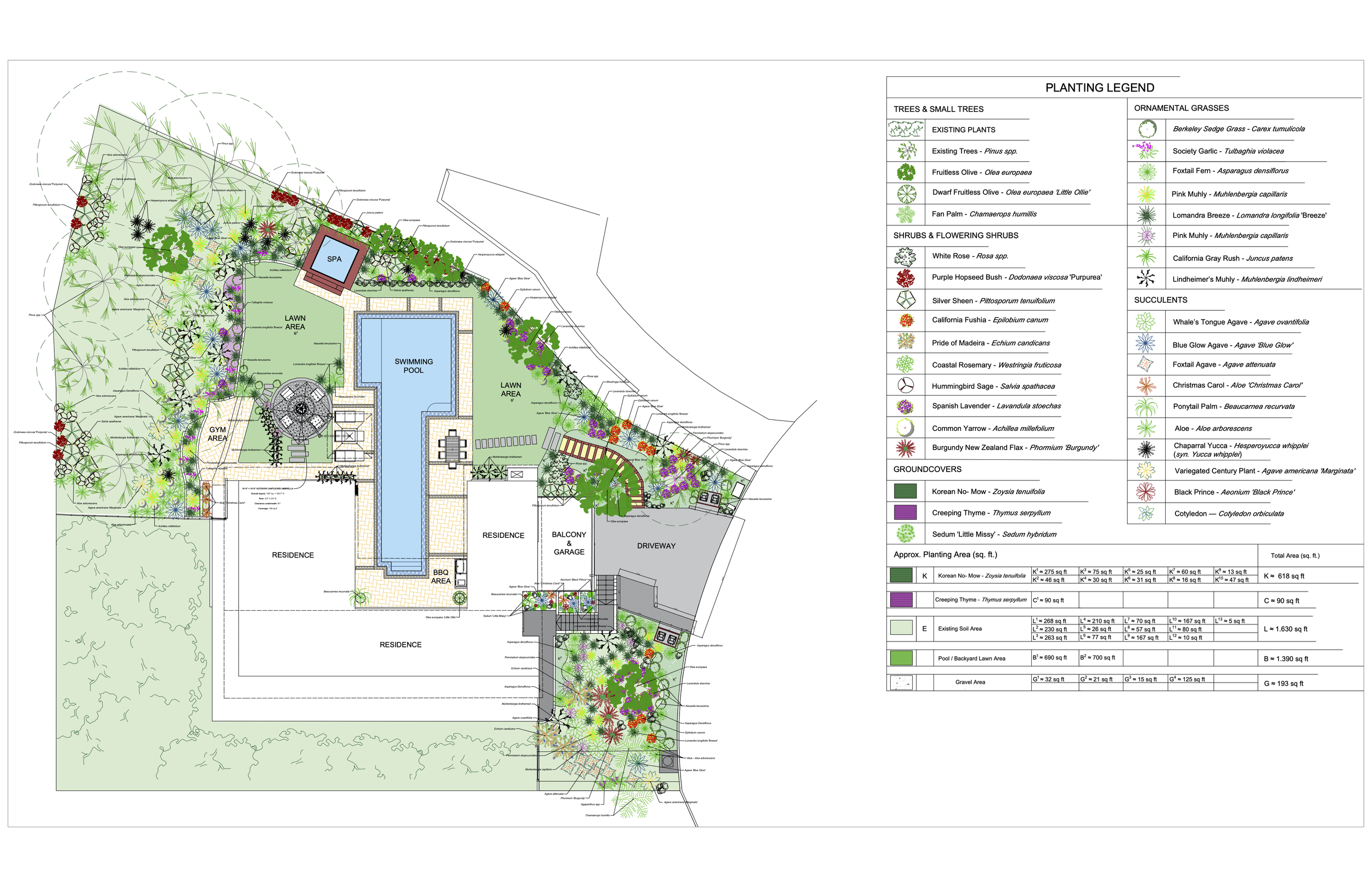 A detailed landscape design plan featuring various plants, trees, shrubs, a swimming pool, spa, lawn areas, and a workout area, with a legend indicating plant species and layout.