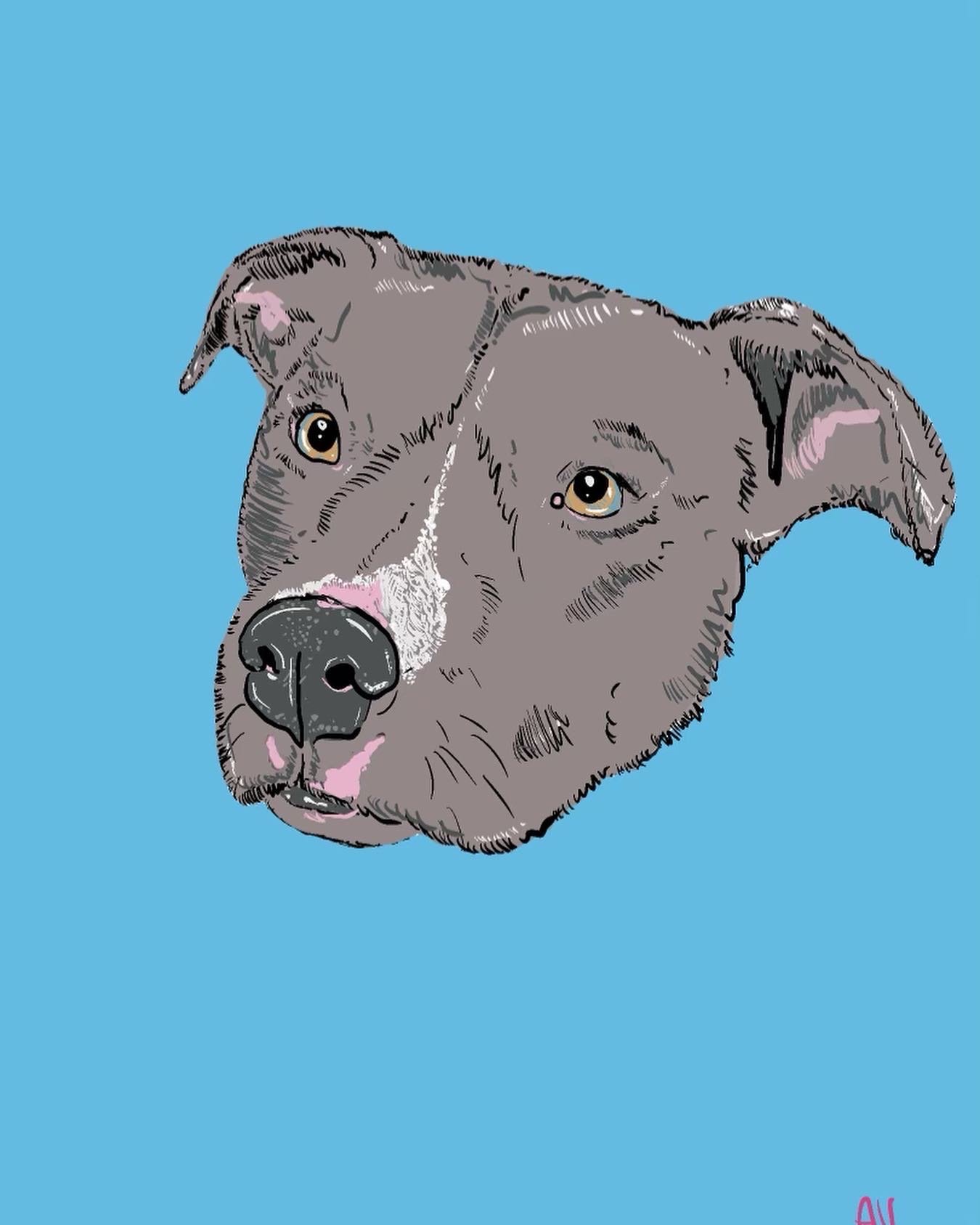 Tyrion, Digital