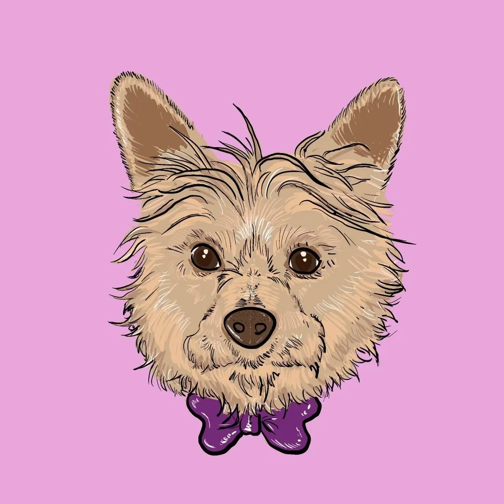 Zen, Digital (Commision)
