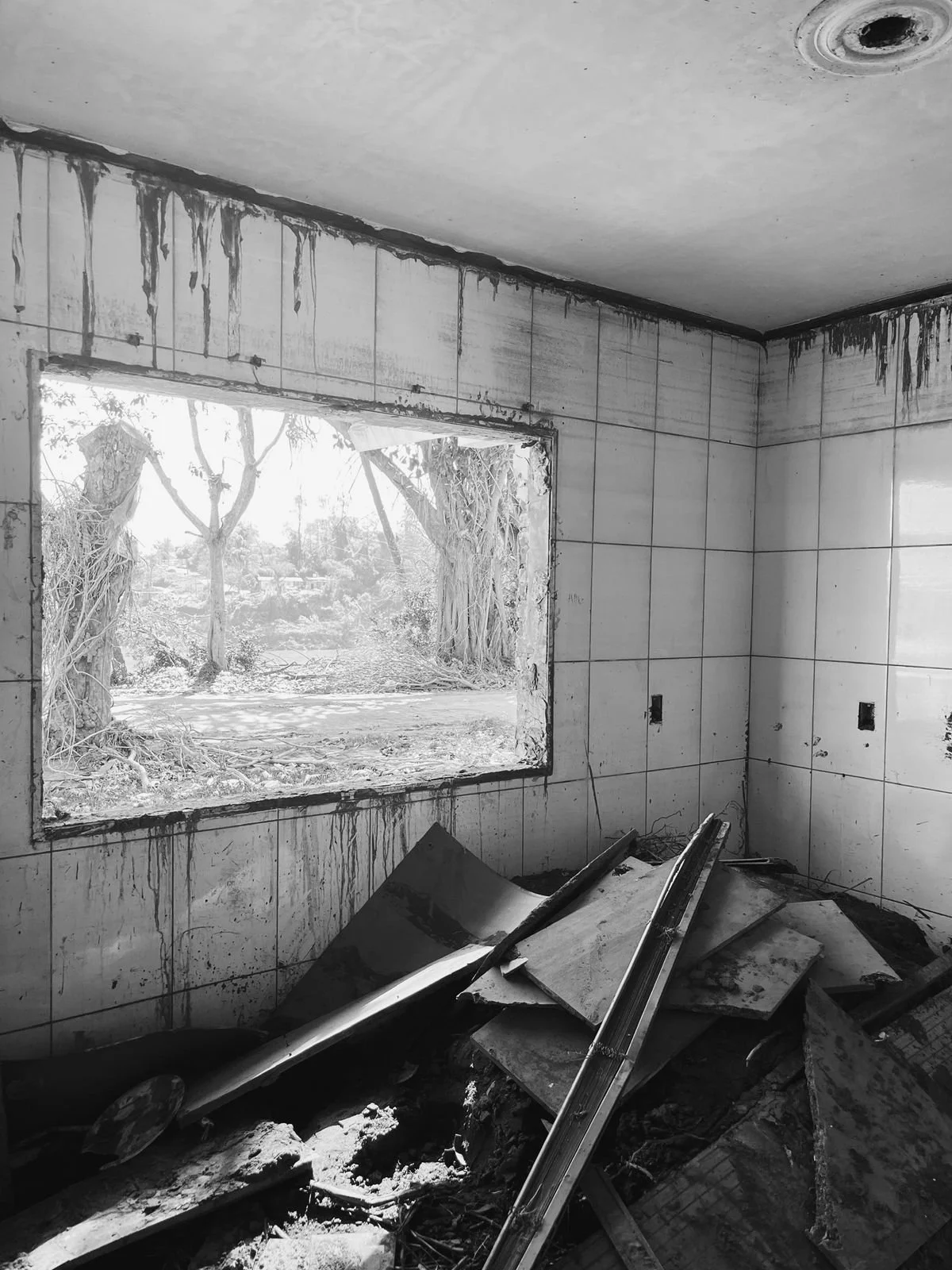 View of a damaged indoor space with broken debris and a large opening to the outside, revealing trees and an outdoor landscape.