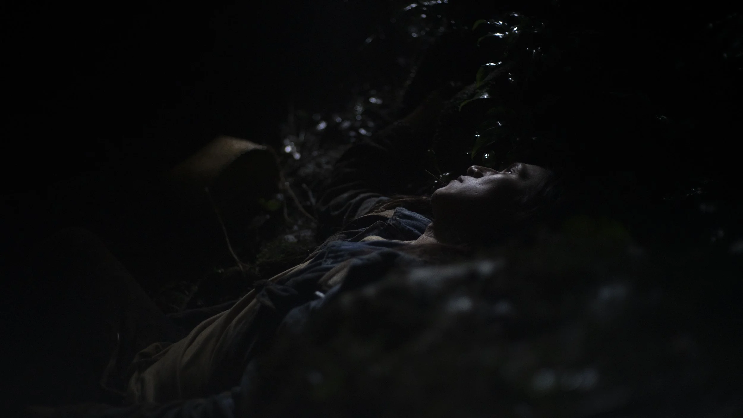 A person lying in a dark forest with only their face and part of their body visible, surrounded by leaves and foliage.