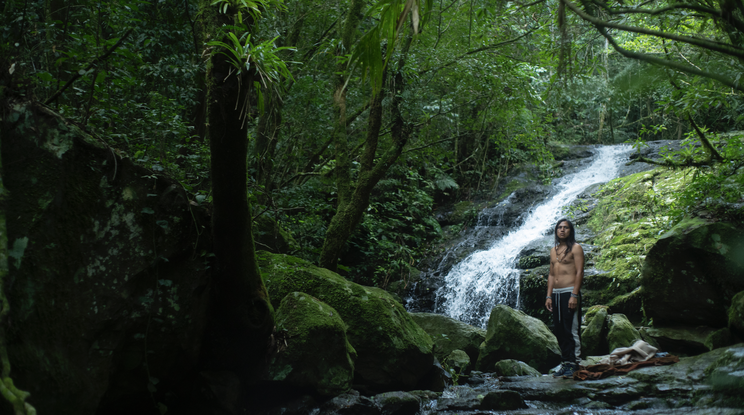 A man standing near a small waterfall in a dense green forest.