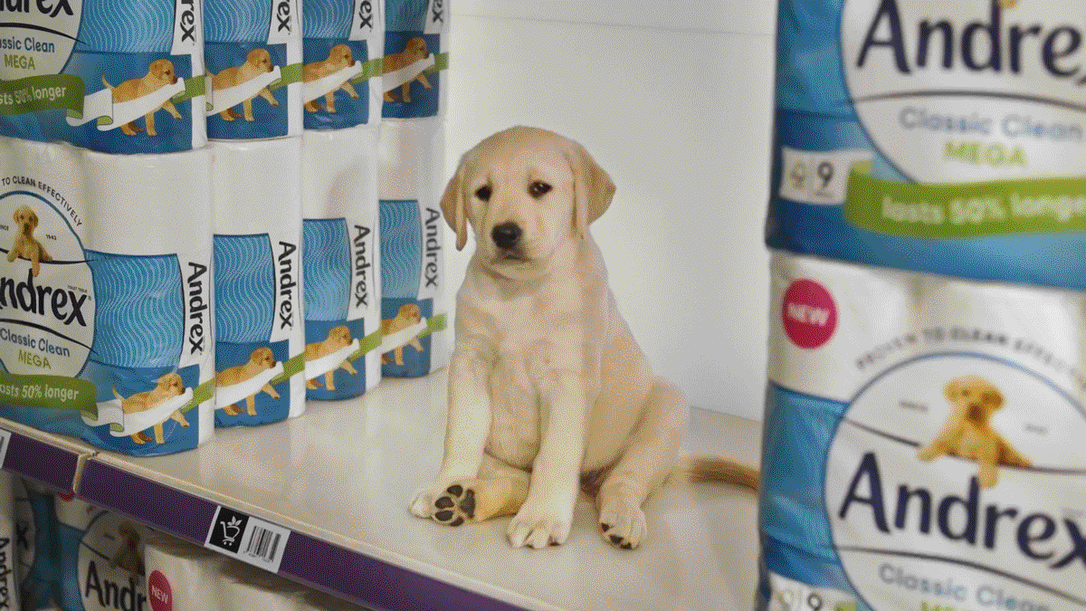 Andrex-30.gif