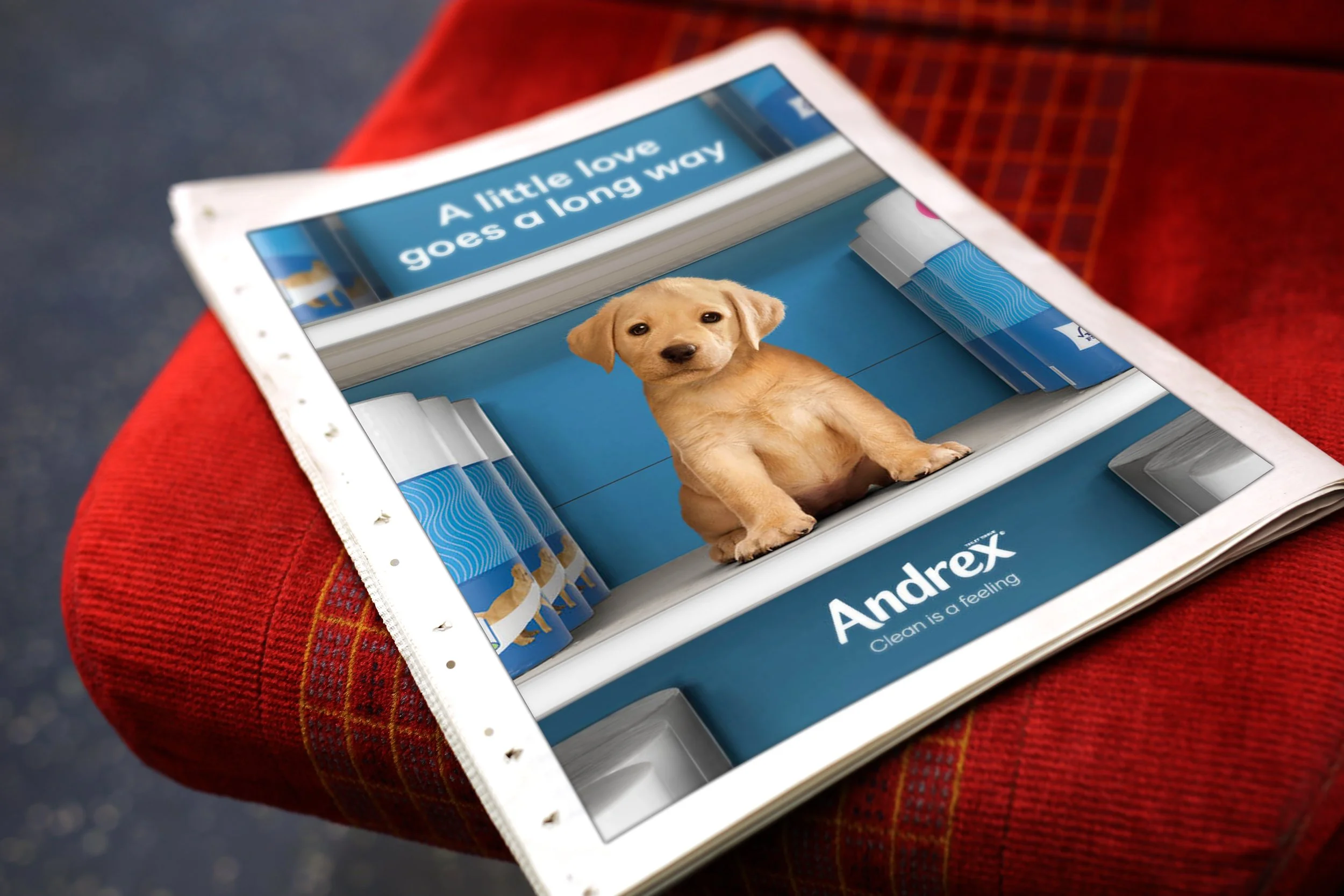 Andrex press.jpg