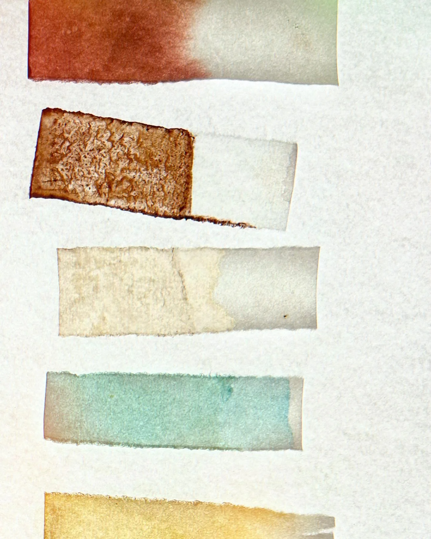 gumbaynggirr palette