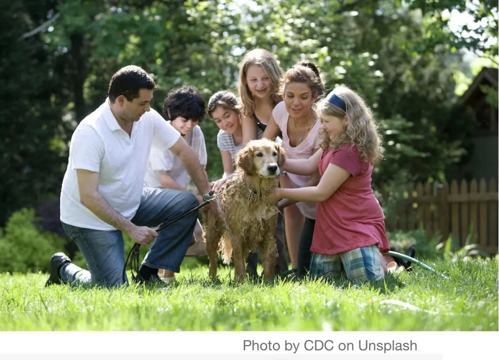 Lesson 5: Family and Friends