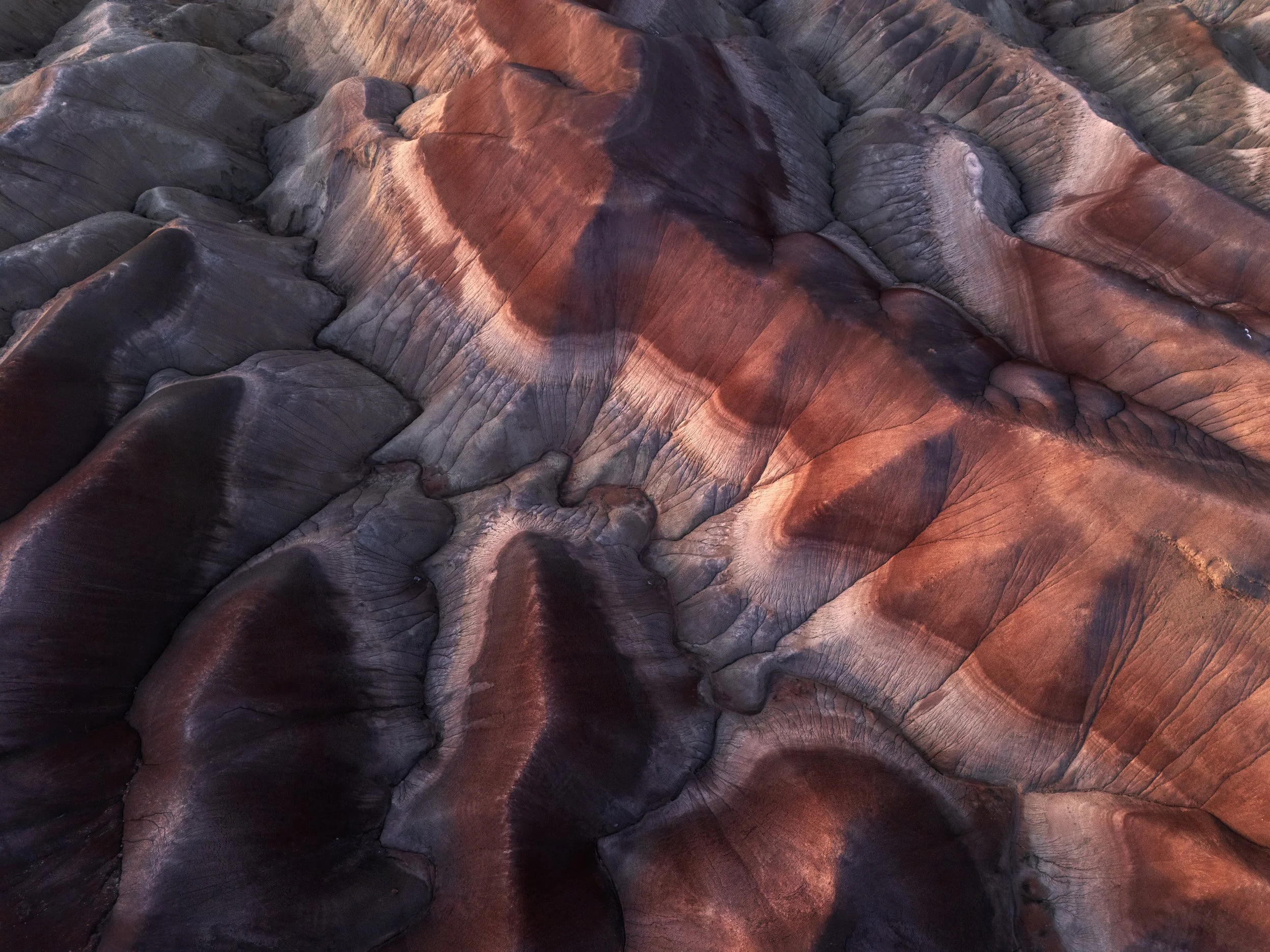 DJI_20260118191223_0357_D-Edit.jpg
