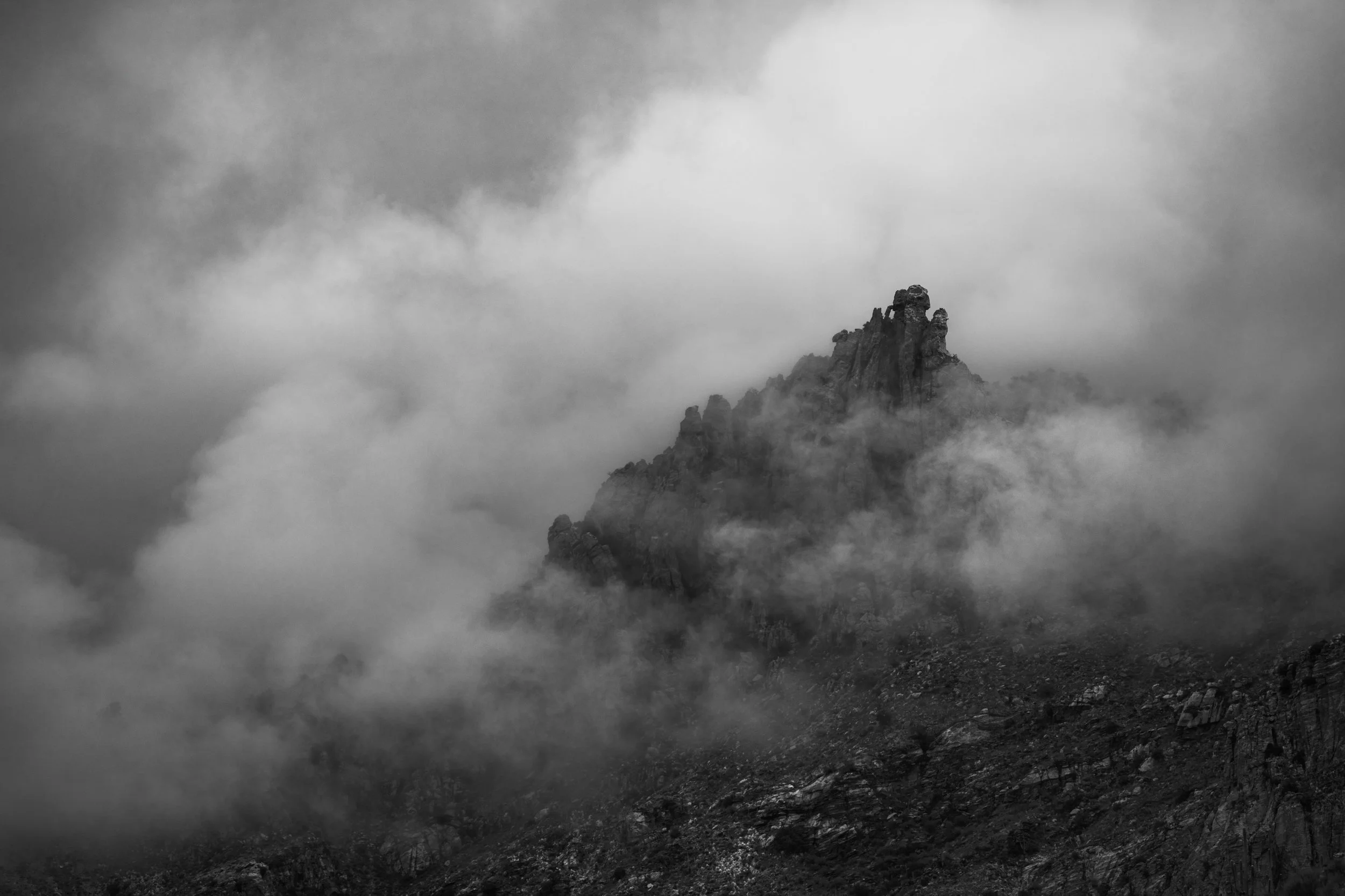 _DSC6731-Edit.jpg