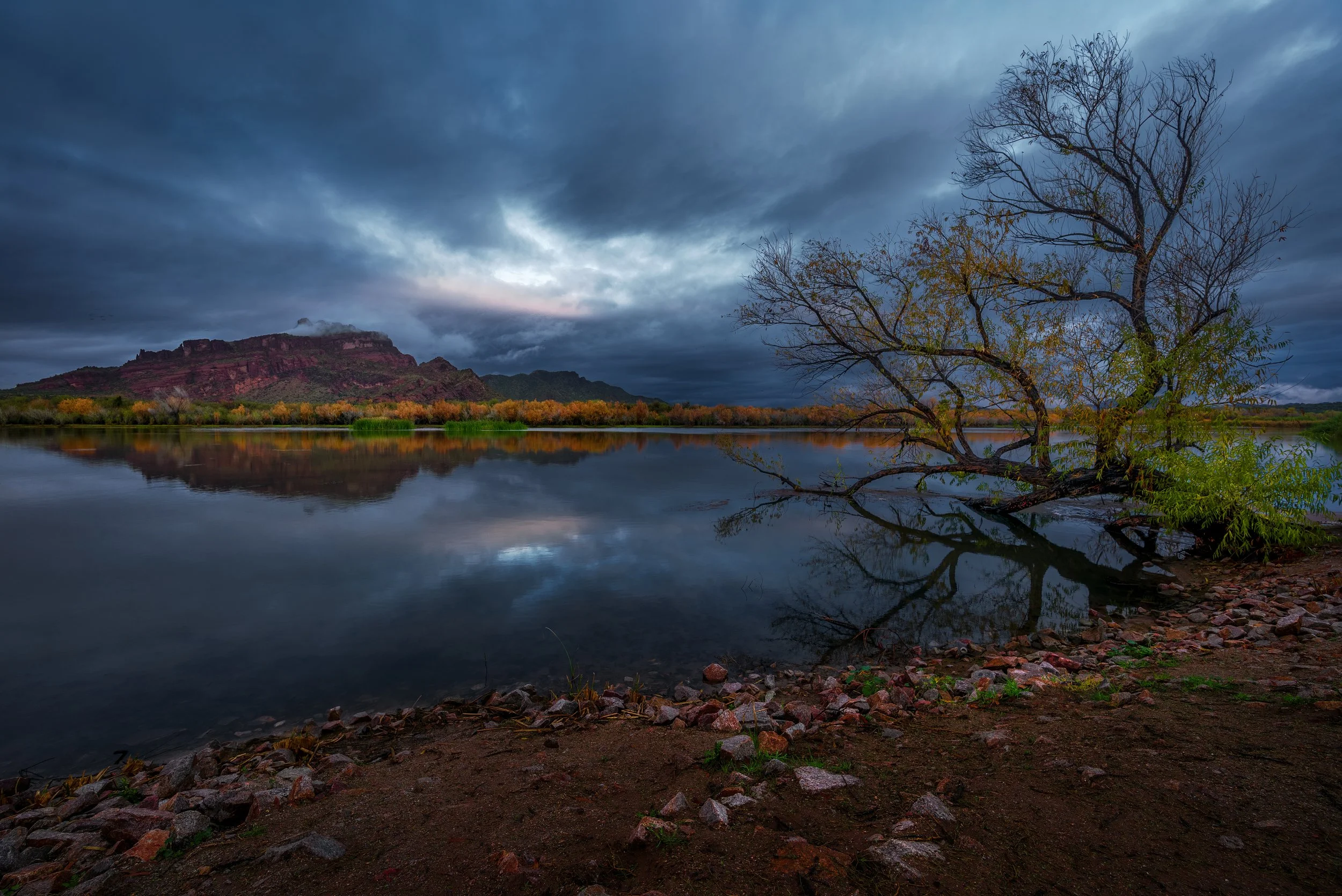 _DSC5237-Edit.jpg