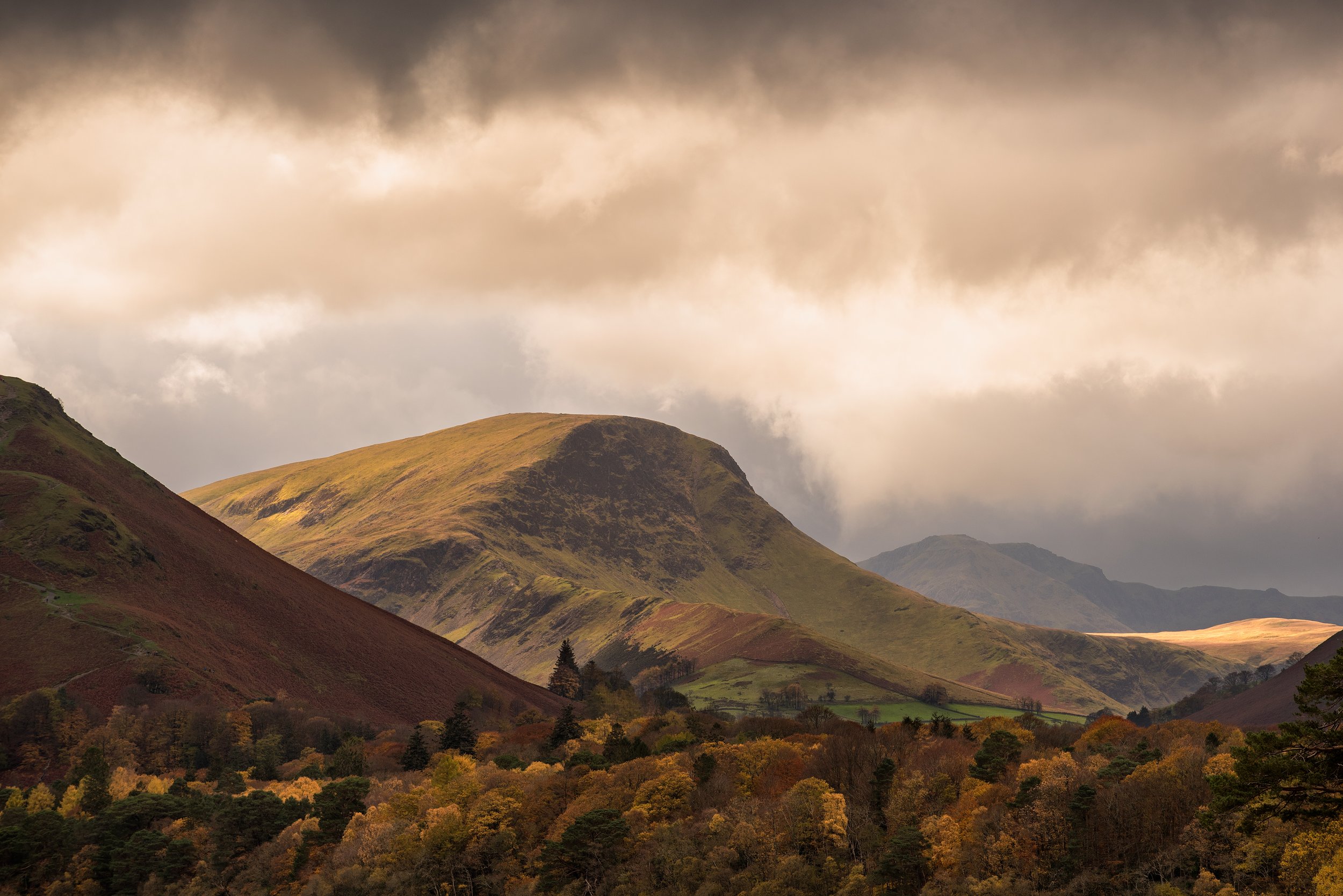 DSC_7794-Edit.jpg