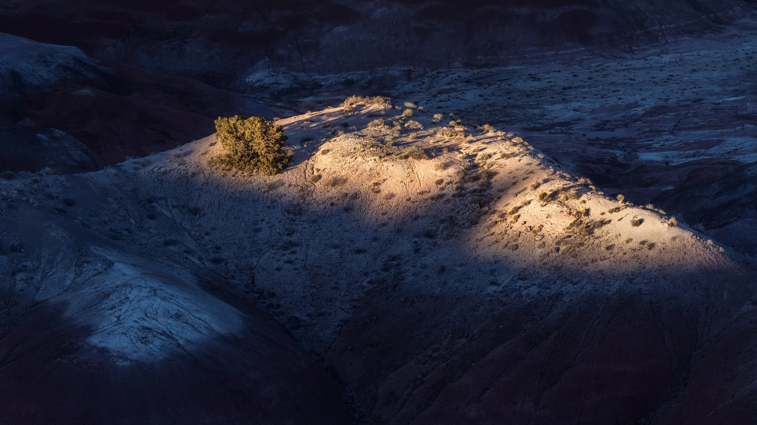 DSC_5627-Edit.jpg