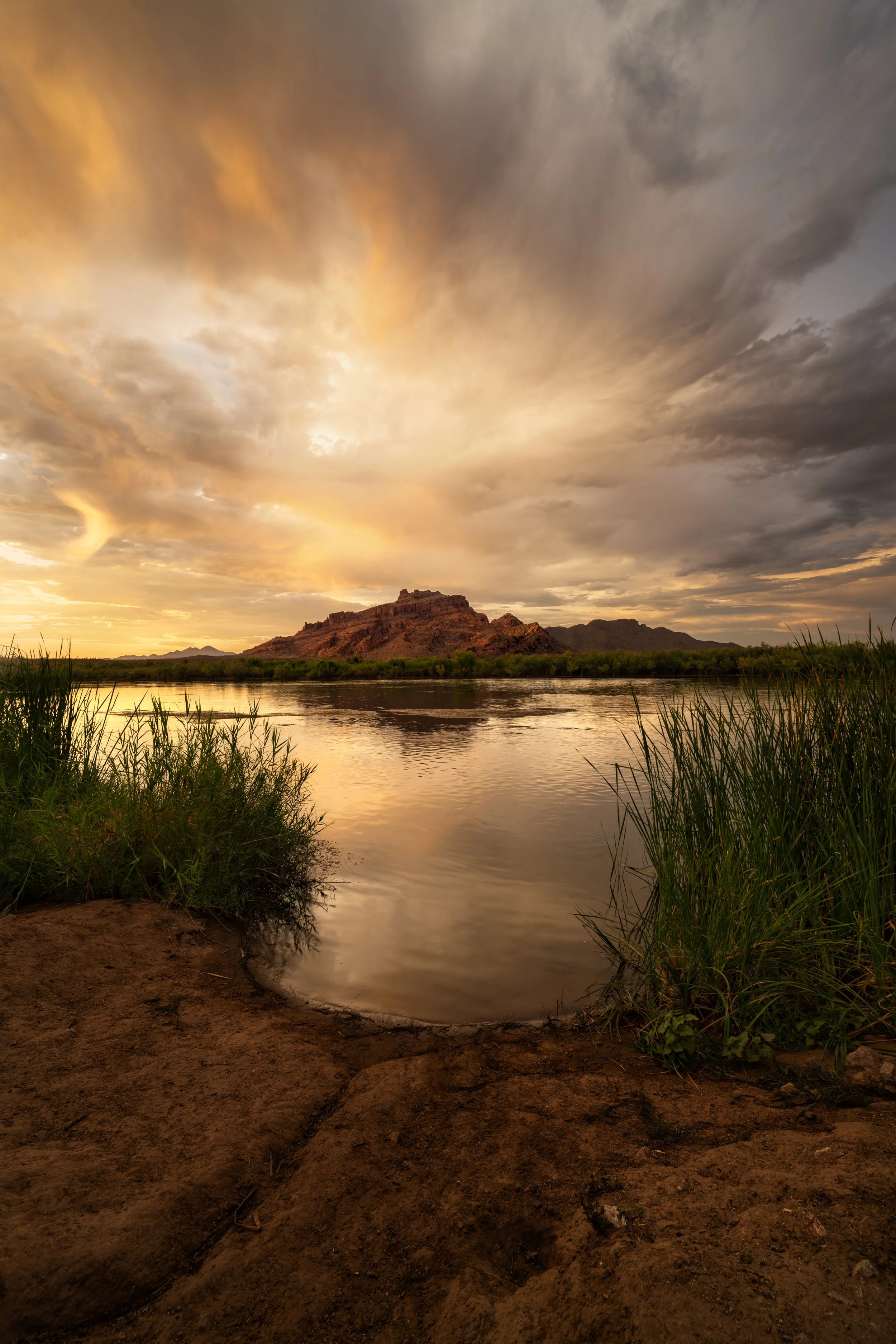 DSC_2978-Edit.jpg