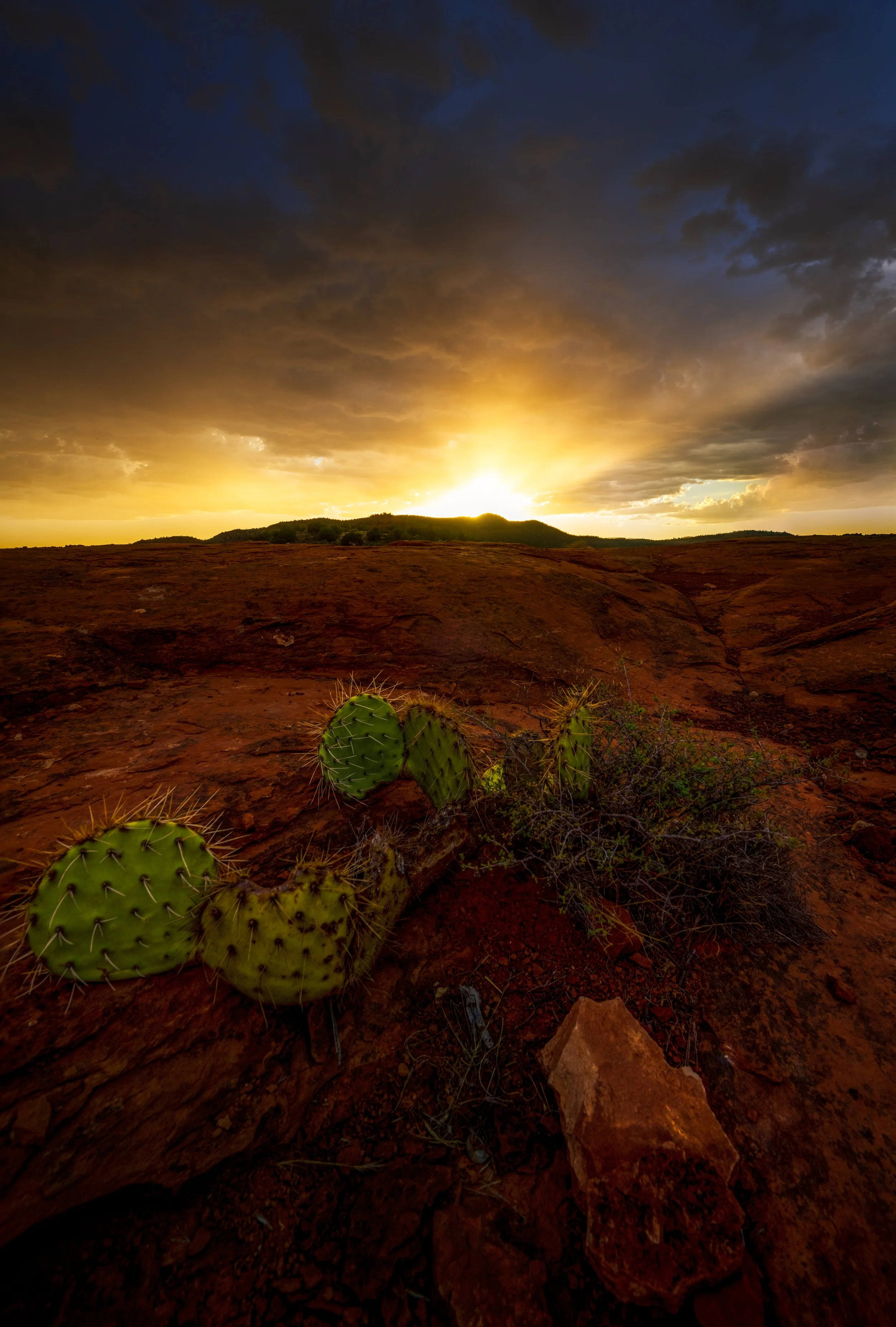 _DSC8879-Edit-1.jpg