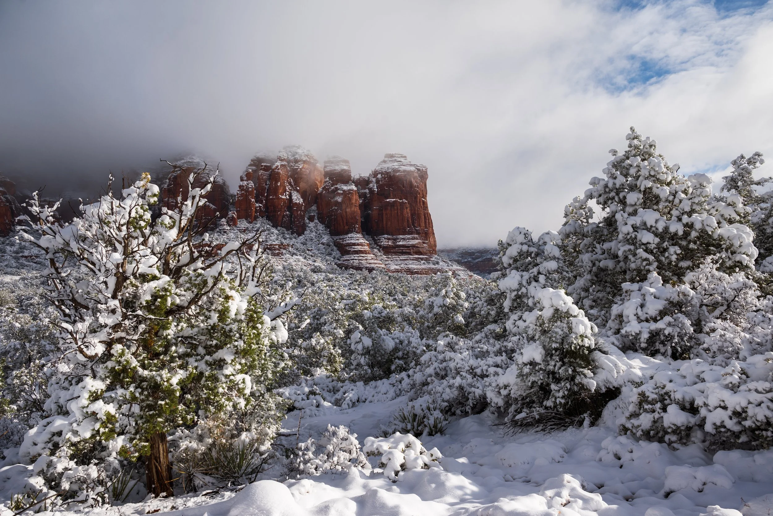 _DSC8258-Edit.jpg