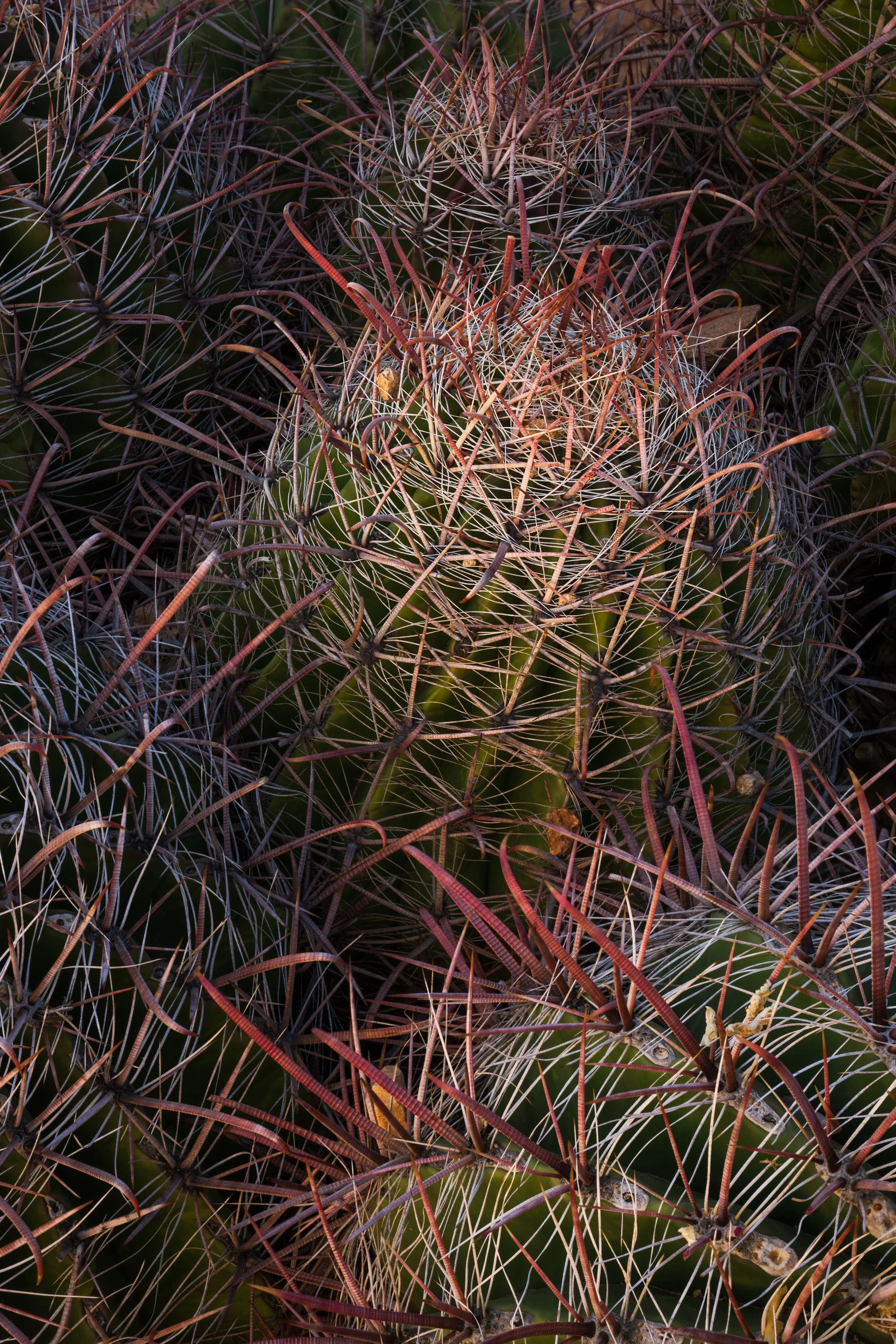 DSC_5182-Edit.jpg