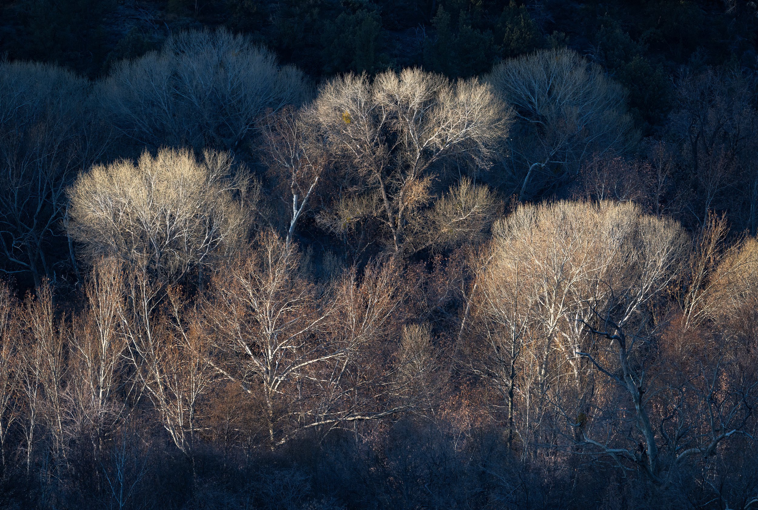 DSC_2389-Edit.jpg