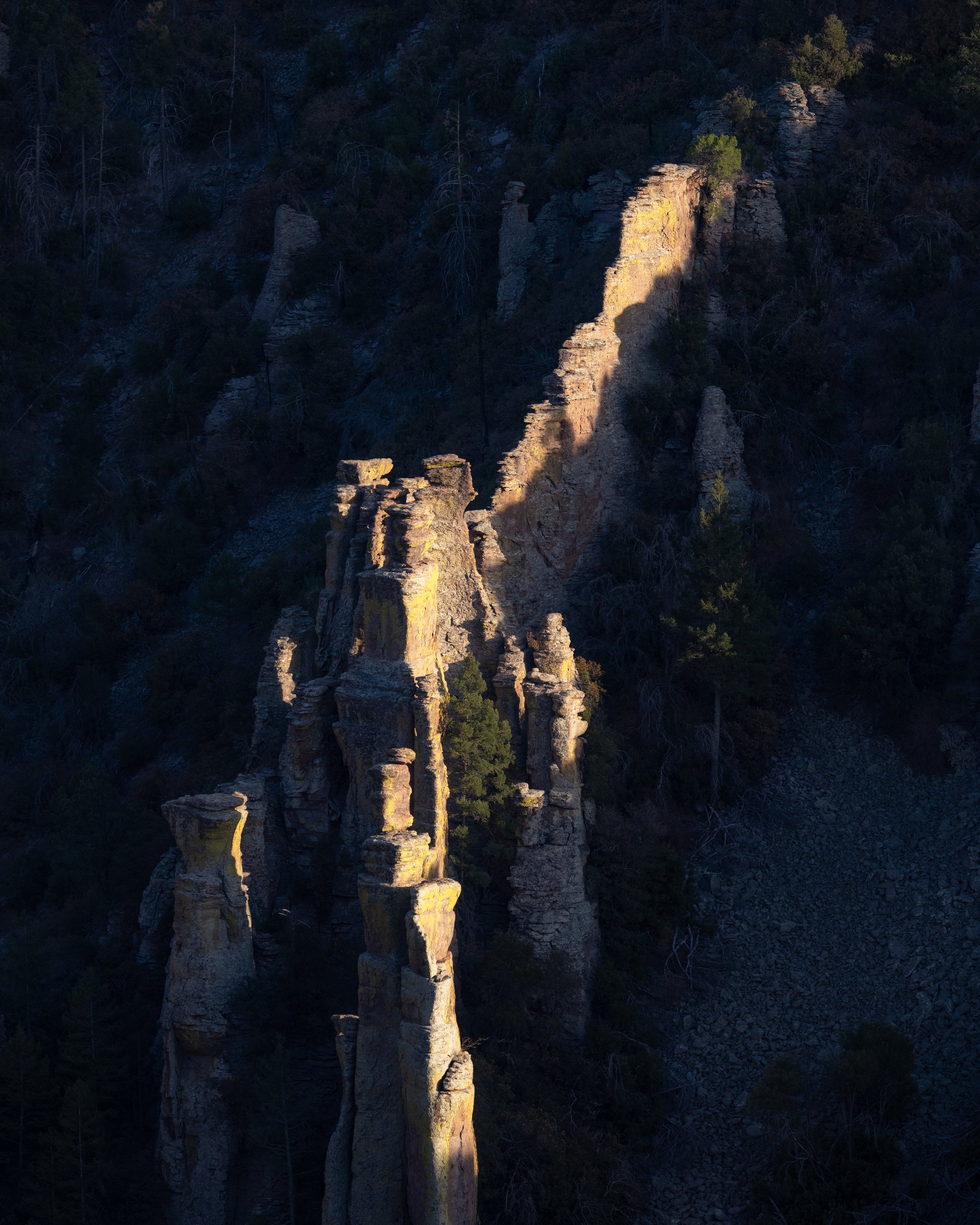 DSC_6296-Edit.jpg