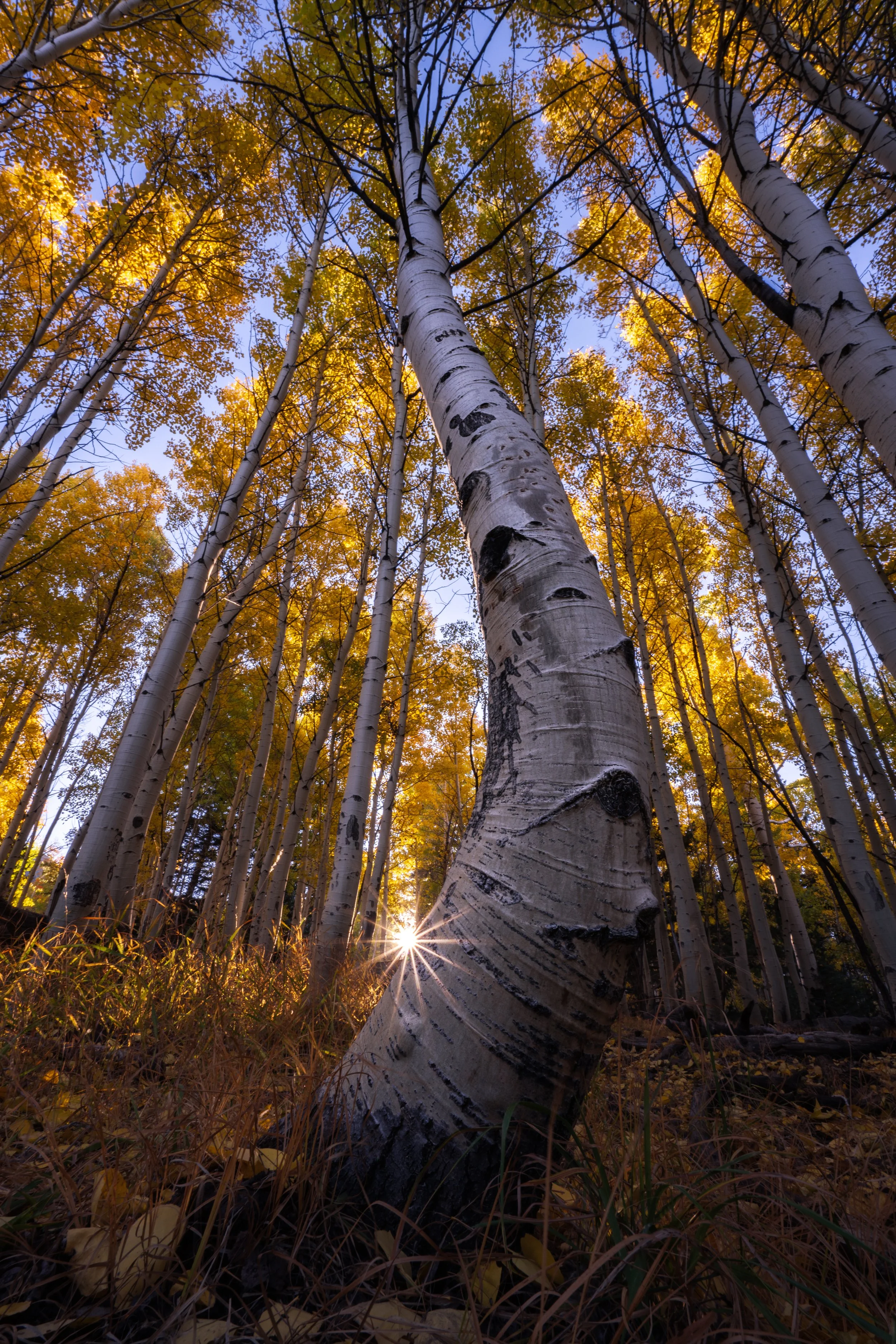 DSC_3998-Edit.jpg