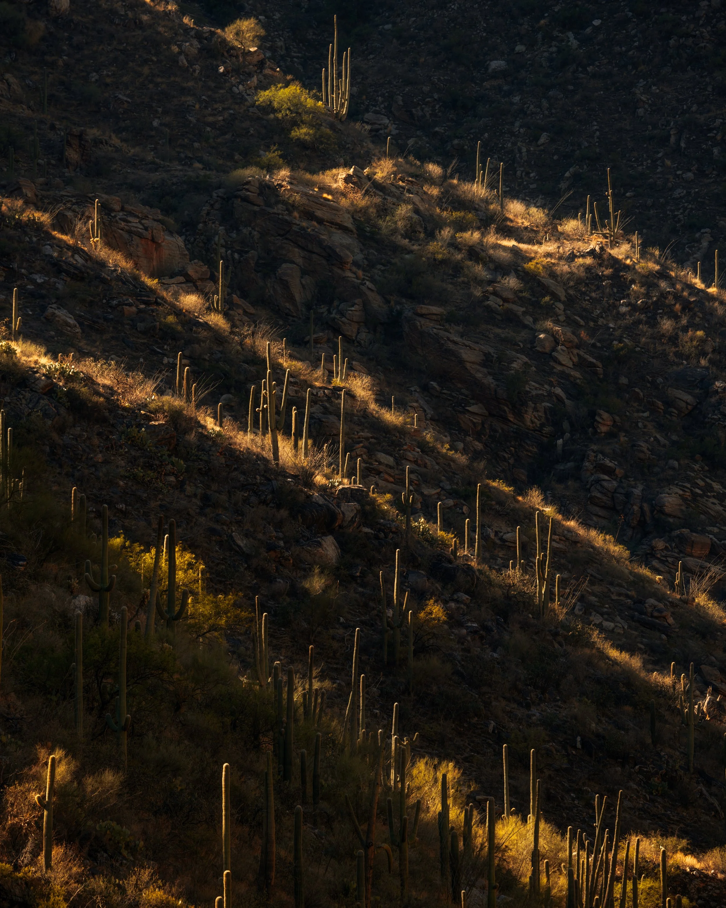 _DSC6505-Edit.jpg