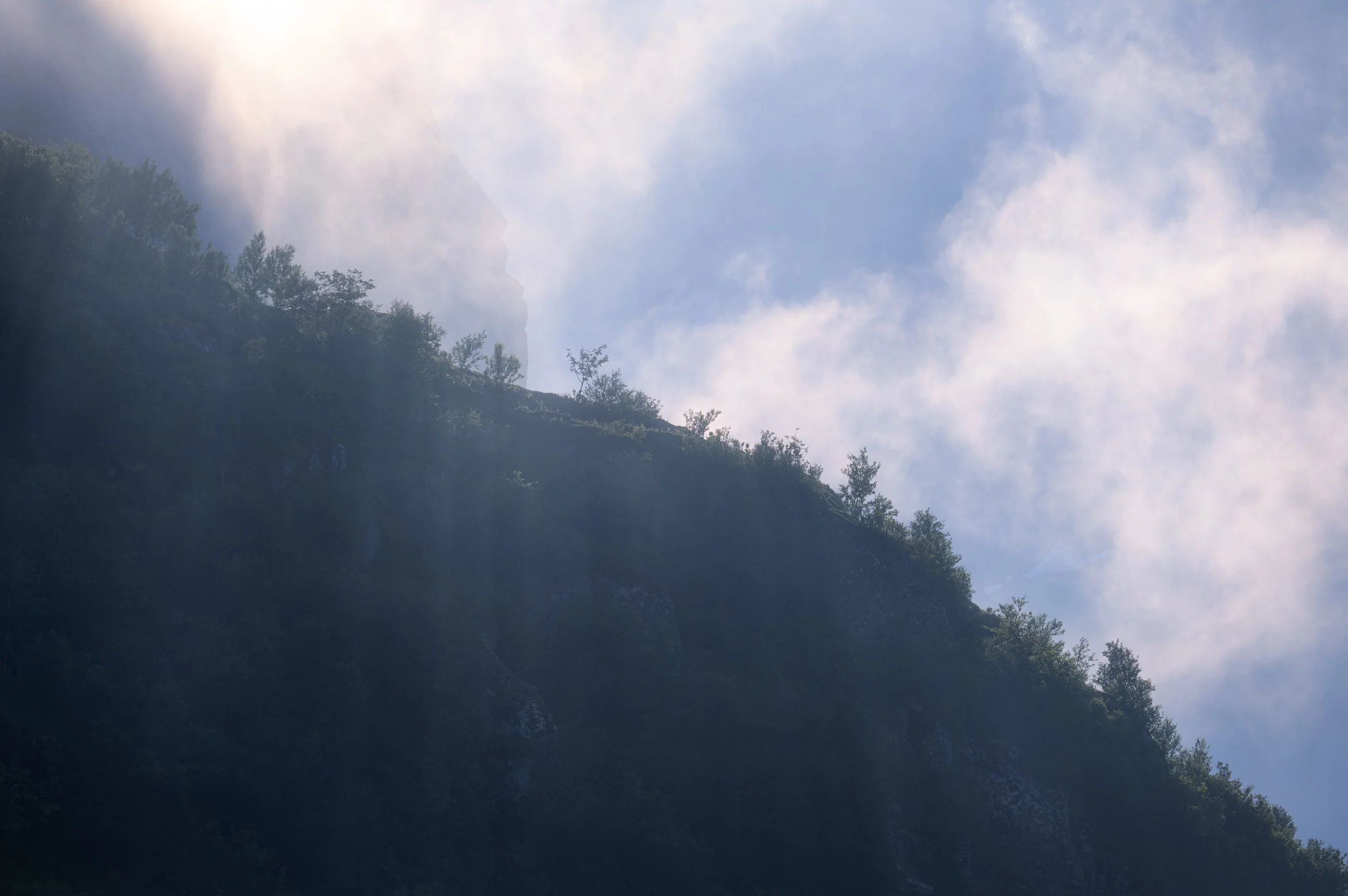 DSC_0686-Edit-2.jpg