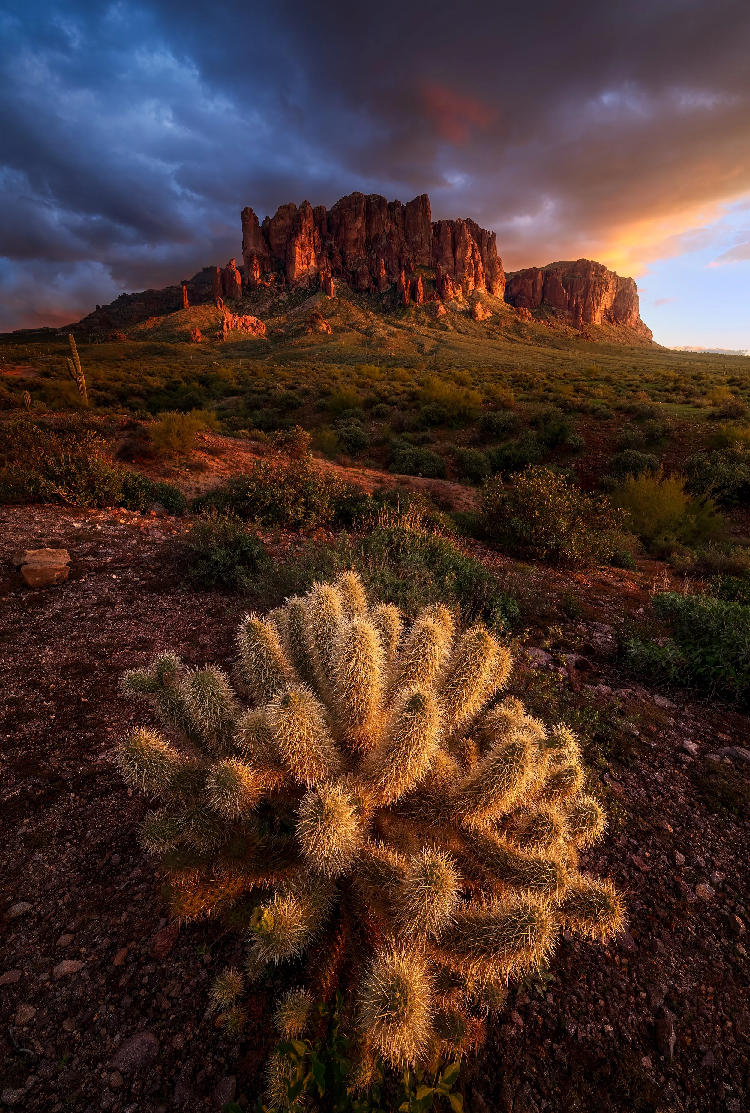 _DSC5876-Edit.jpg