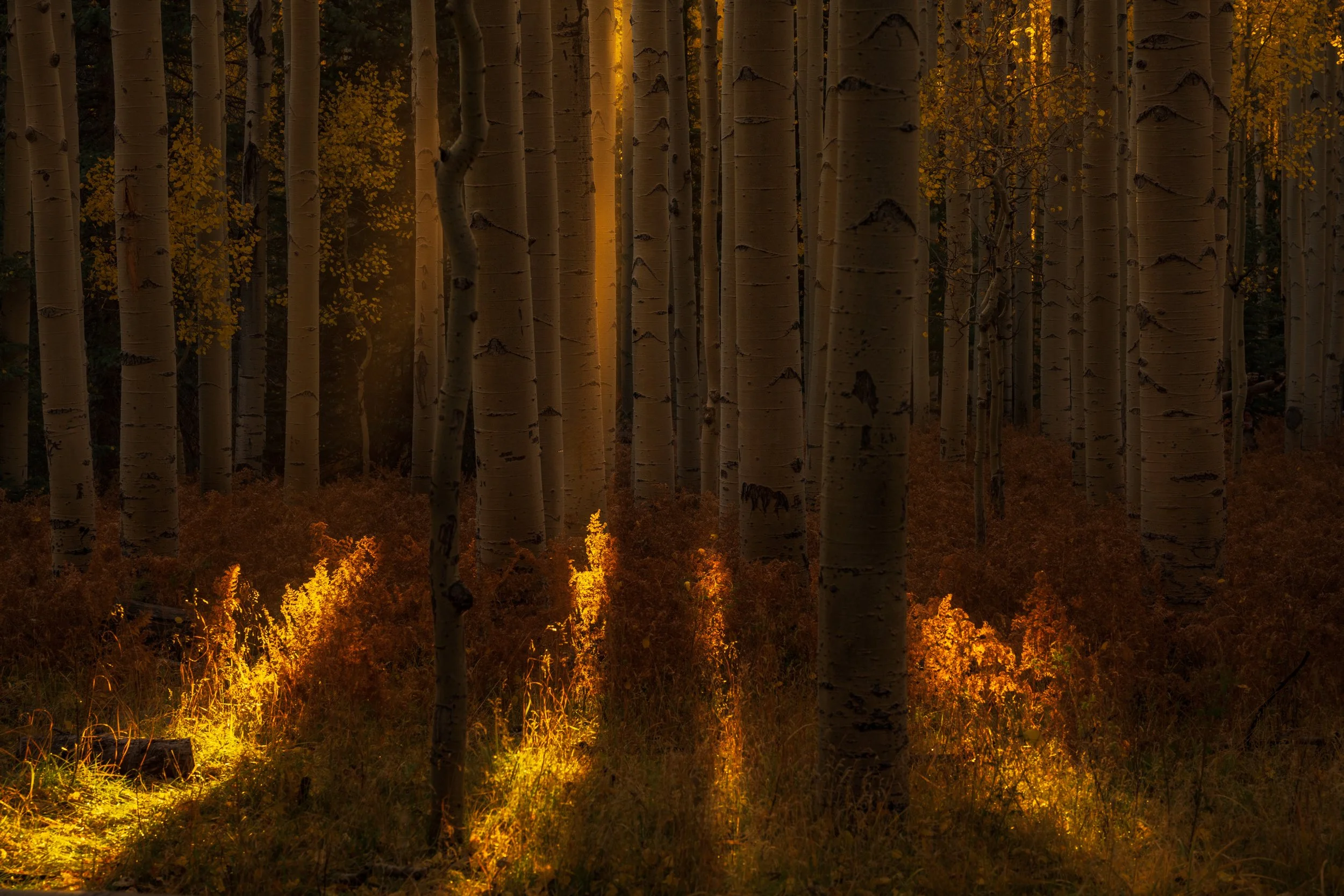 _DSC5103-Edit.jpg
