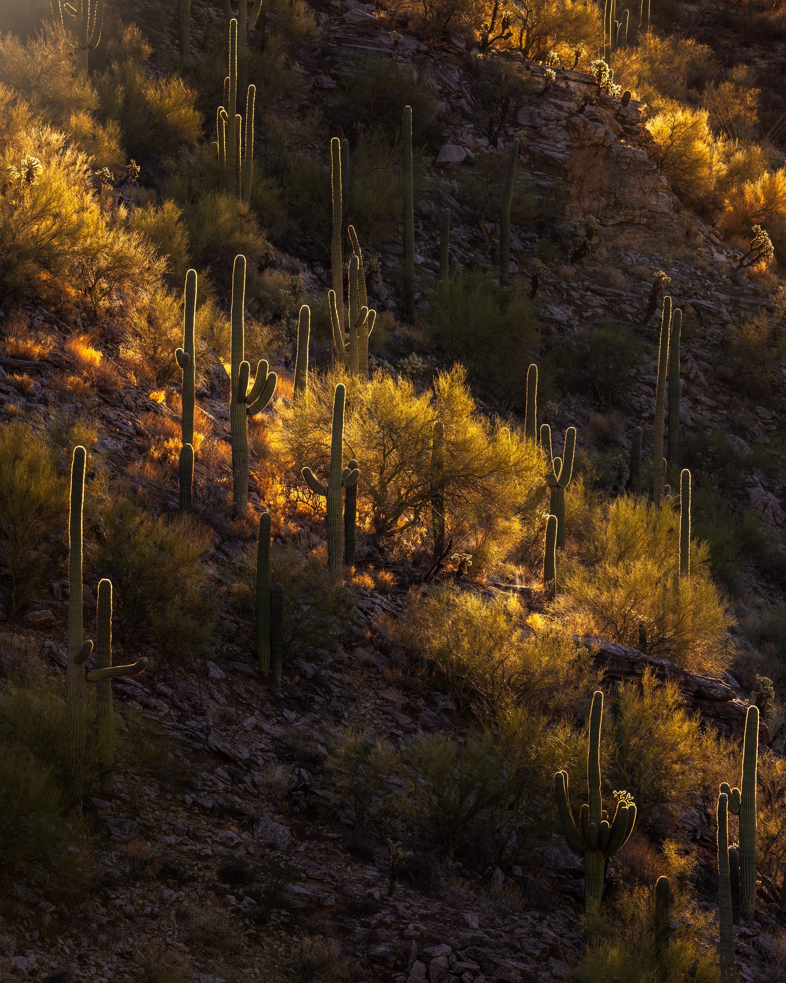_DSC6358-Edit.jpg