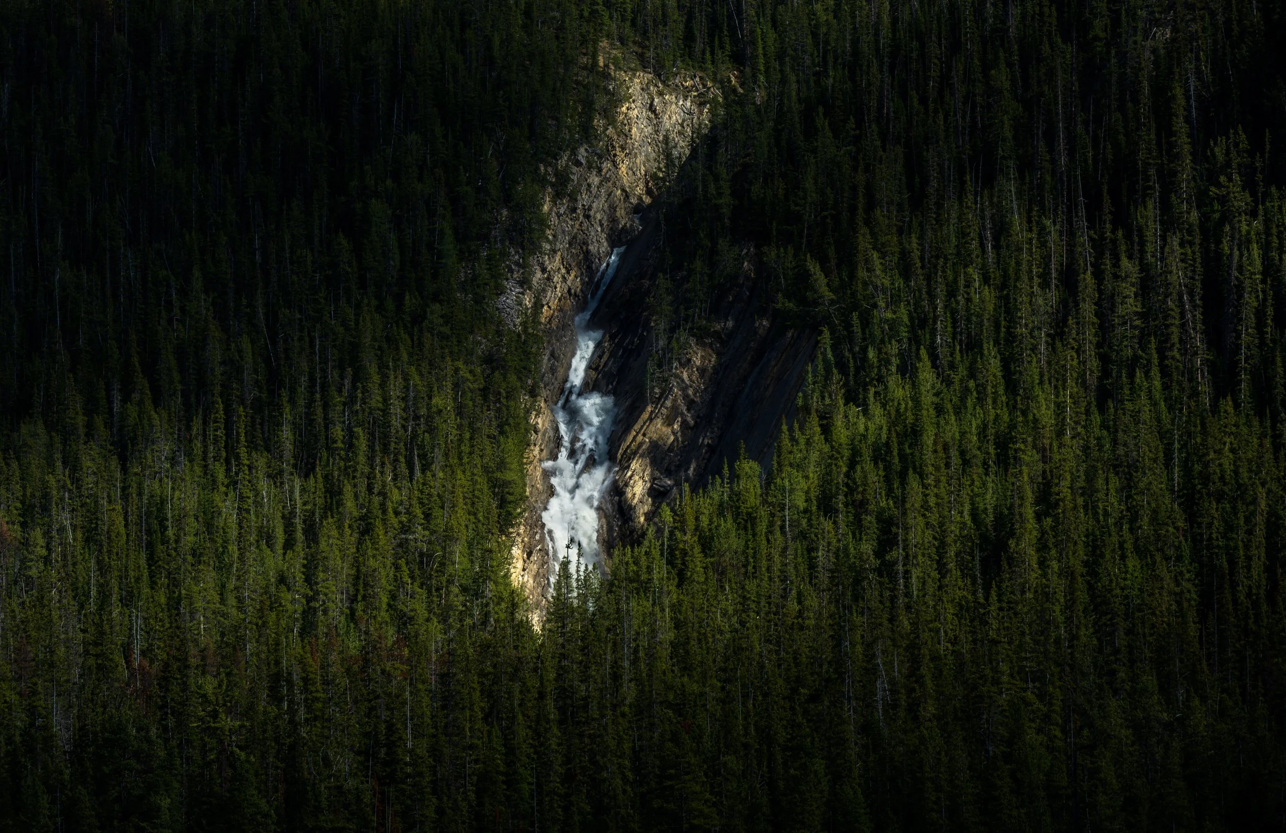 _DSC0996.jpg