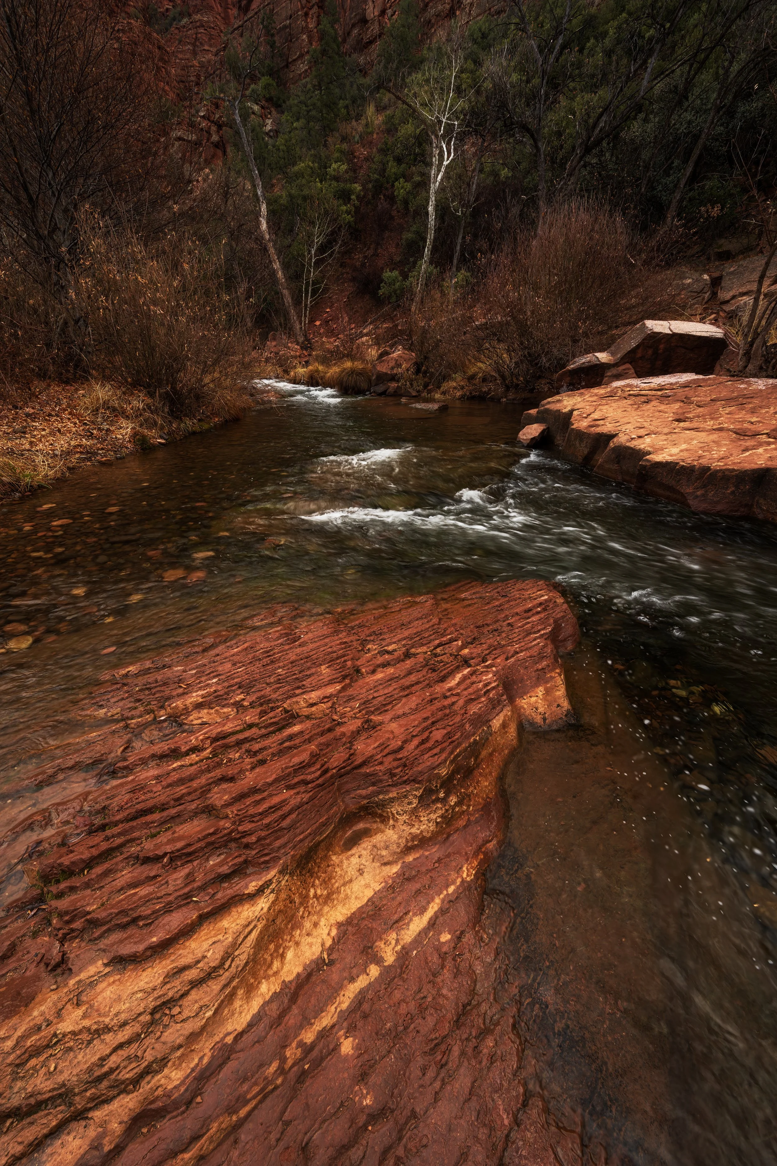 DSC_2521-Edit.jpg