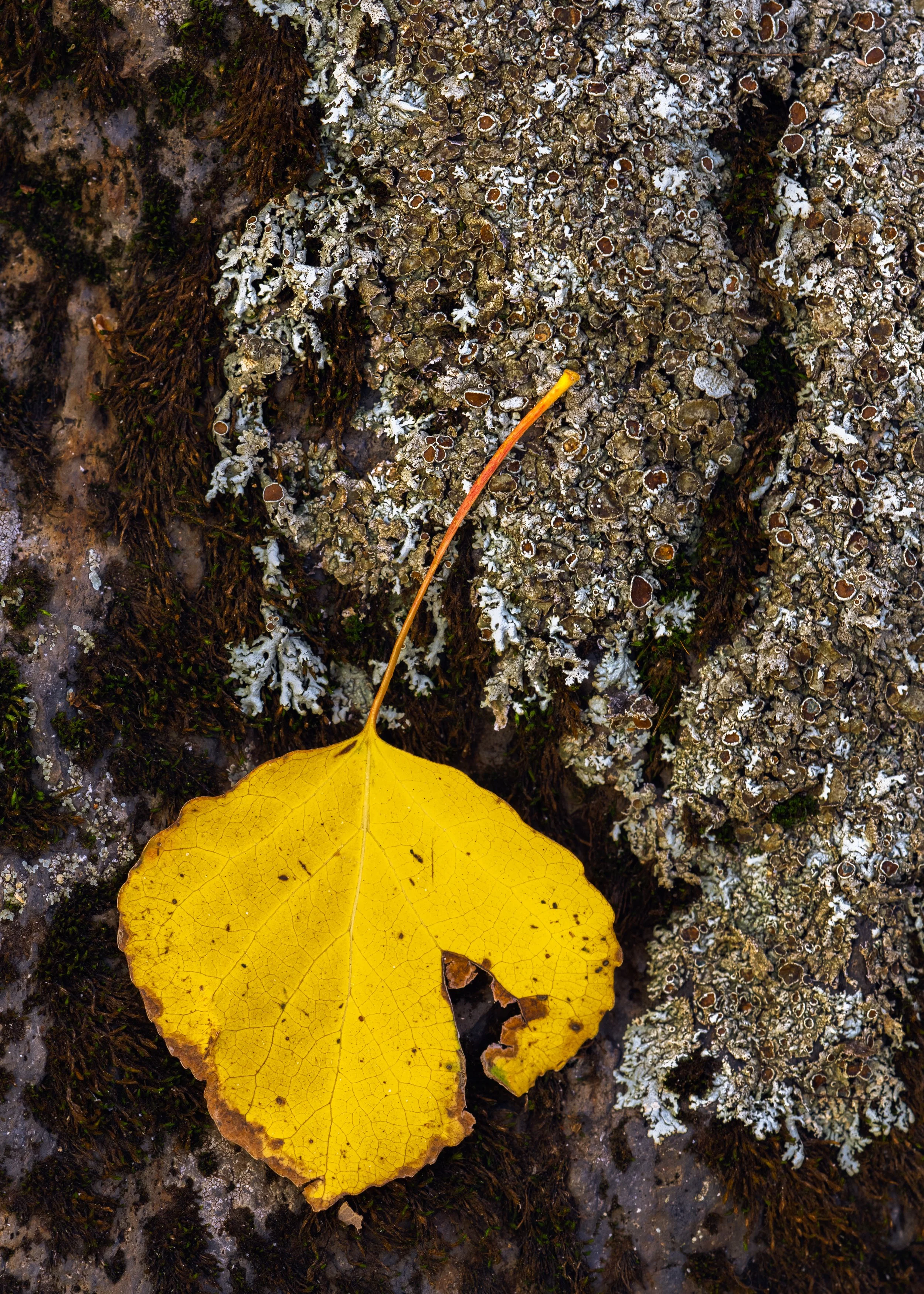 DSC_3397-Edit.jpg