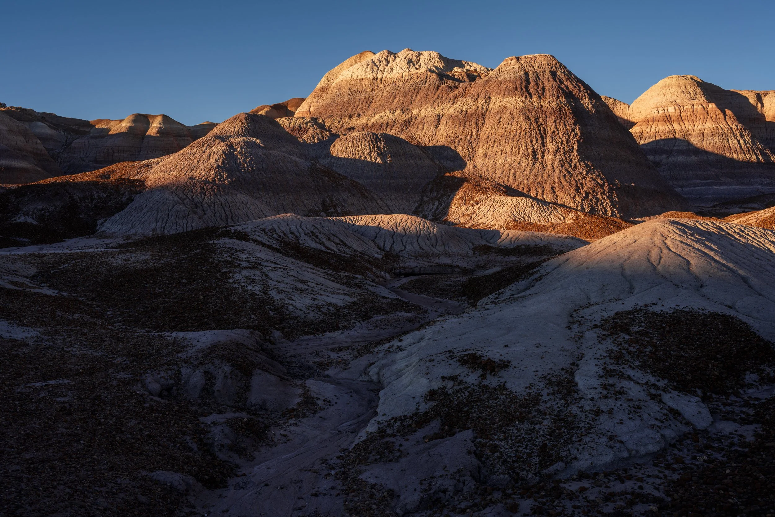 DSC_5216-Edit.jpg