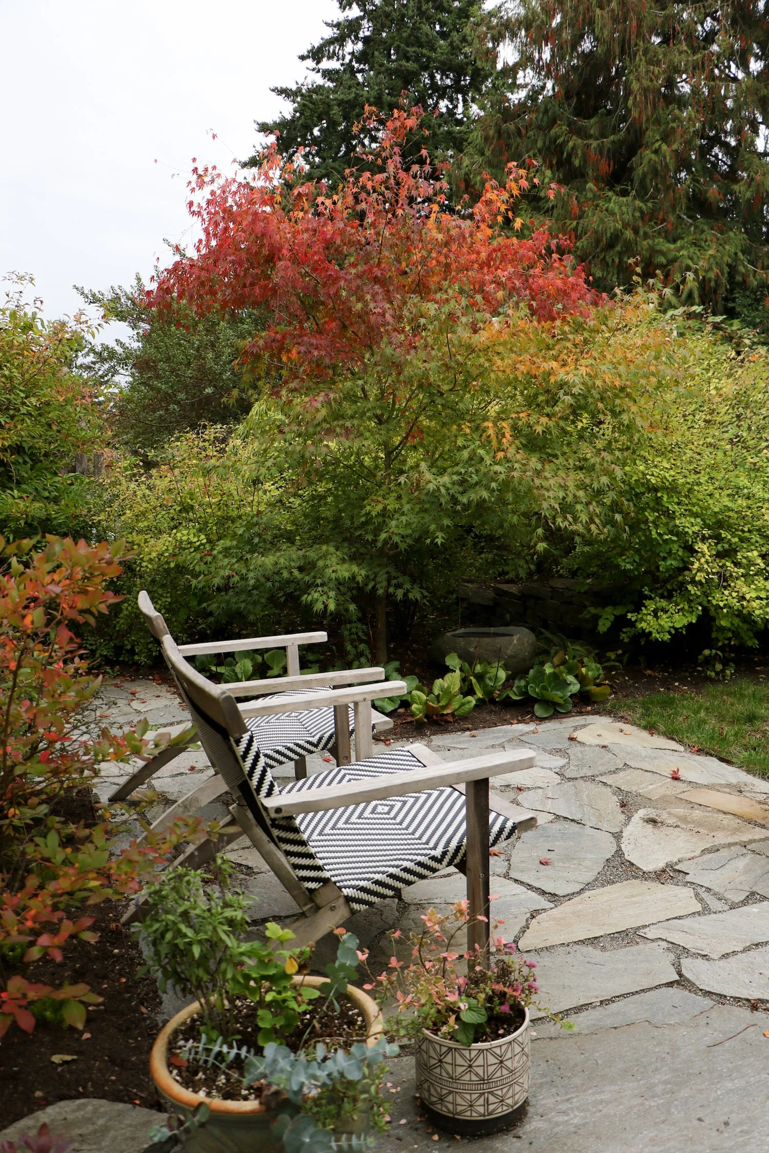 A backyard garden with a stone patio, some potted plants, and a wooden bench. There are trees with fall-colored leaves in the background.