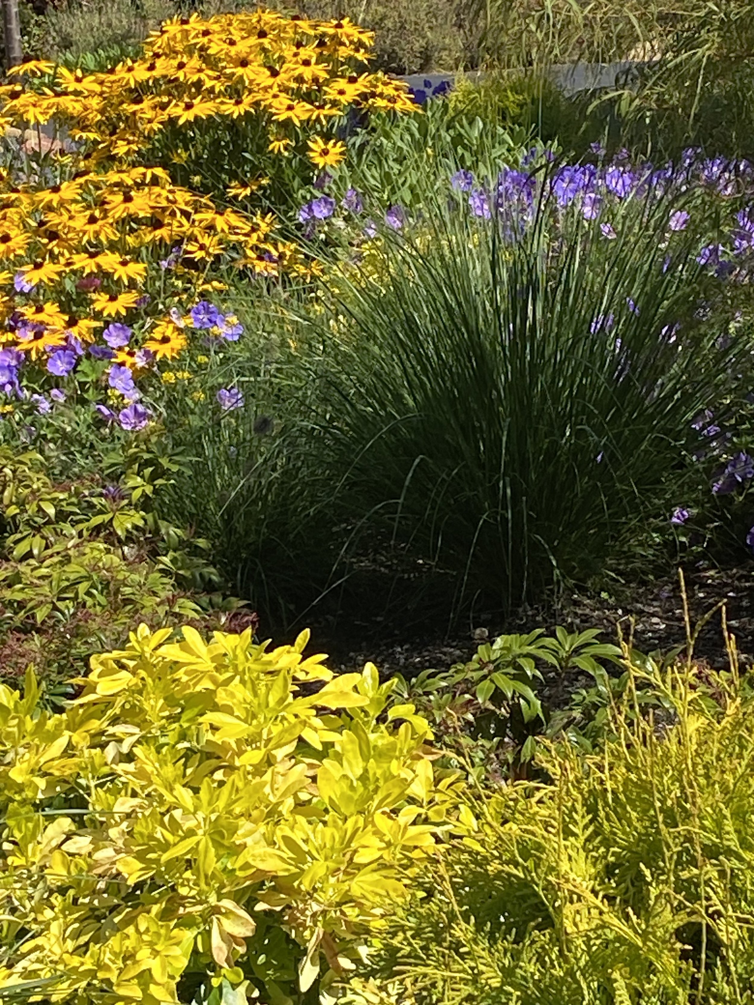 IMG_0894.jpeg