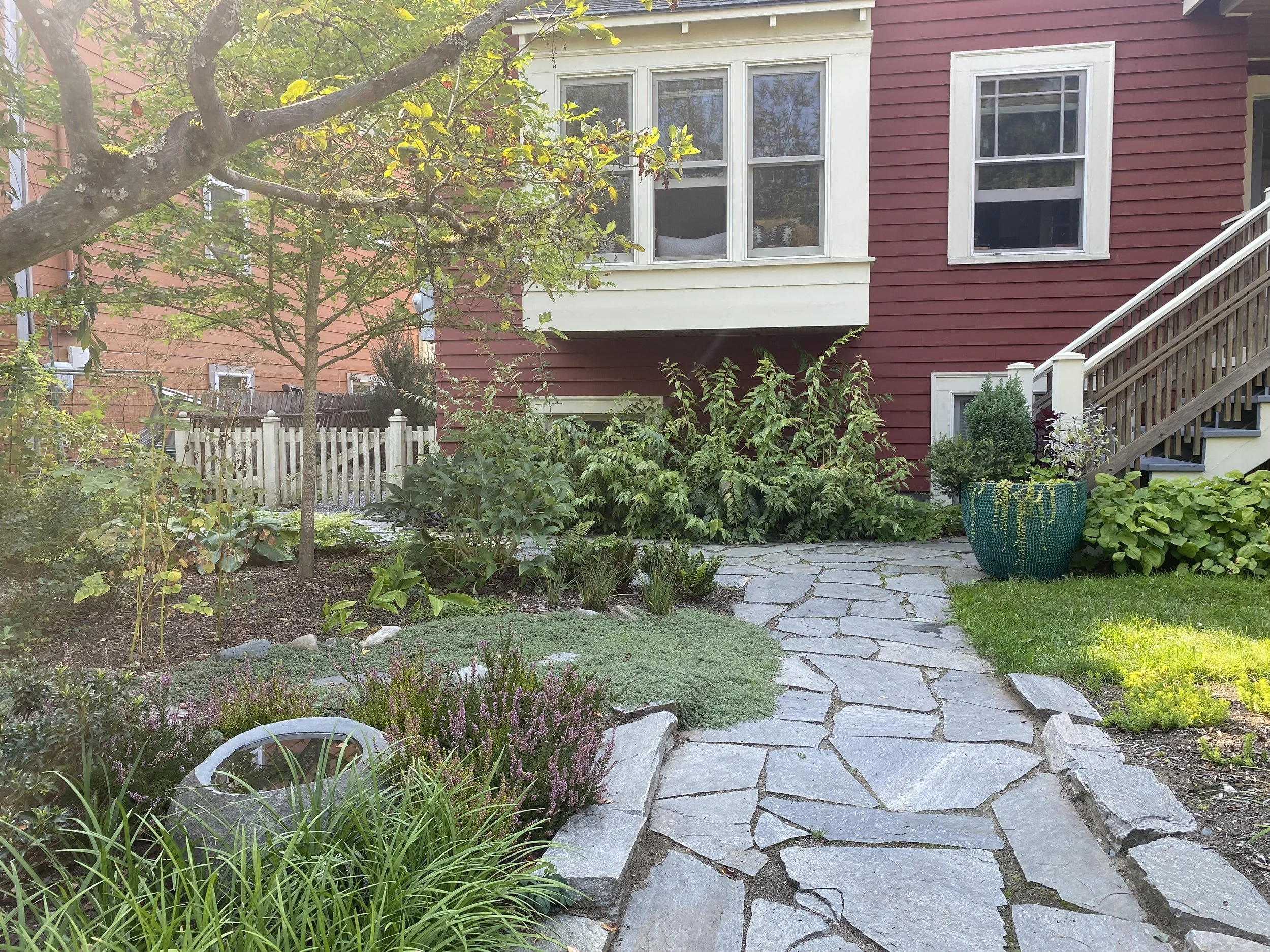 A garden with a stone pathway leading to a red house. The house has white-framed windows and stairs on the right. There are green plants, bushes, and a small tree with yellow and green leaves. A large turquoise planter with plants is near the stairs. The overall scene is sunny and peaceful.