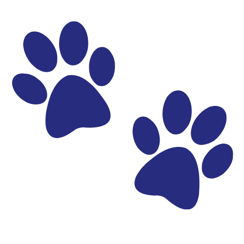 Local Laps Pet Pros Fountain Hills