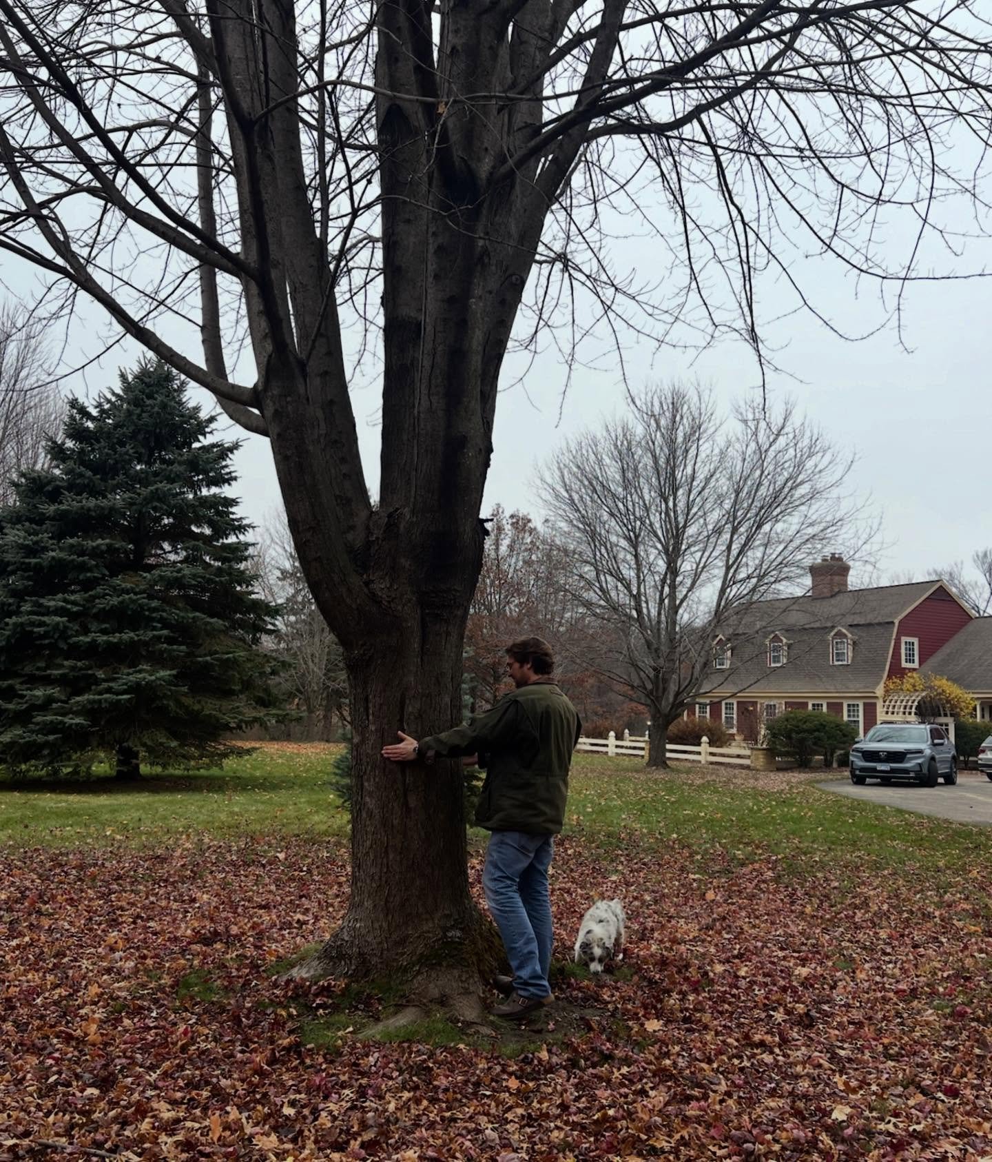 Trees have an undeniable way of showing the passage of time. I planted this with my dad and brothers many years ago at home in Minnesota. 

Thanksgiving is one of the best holidays.. people getting together over good food.