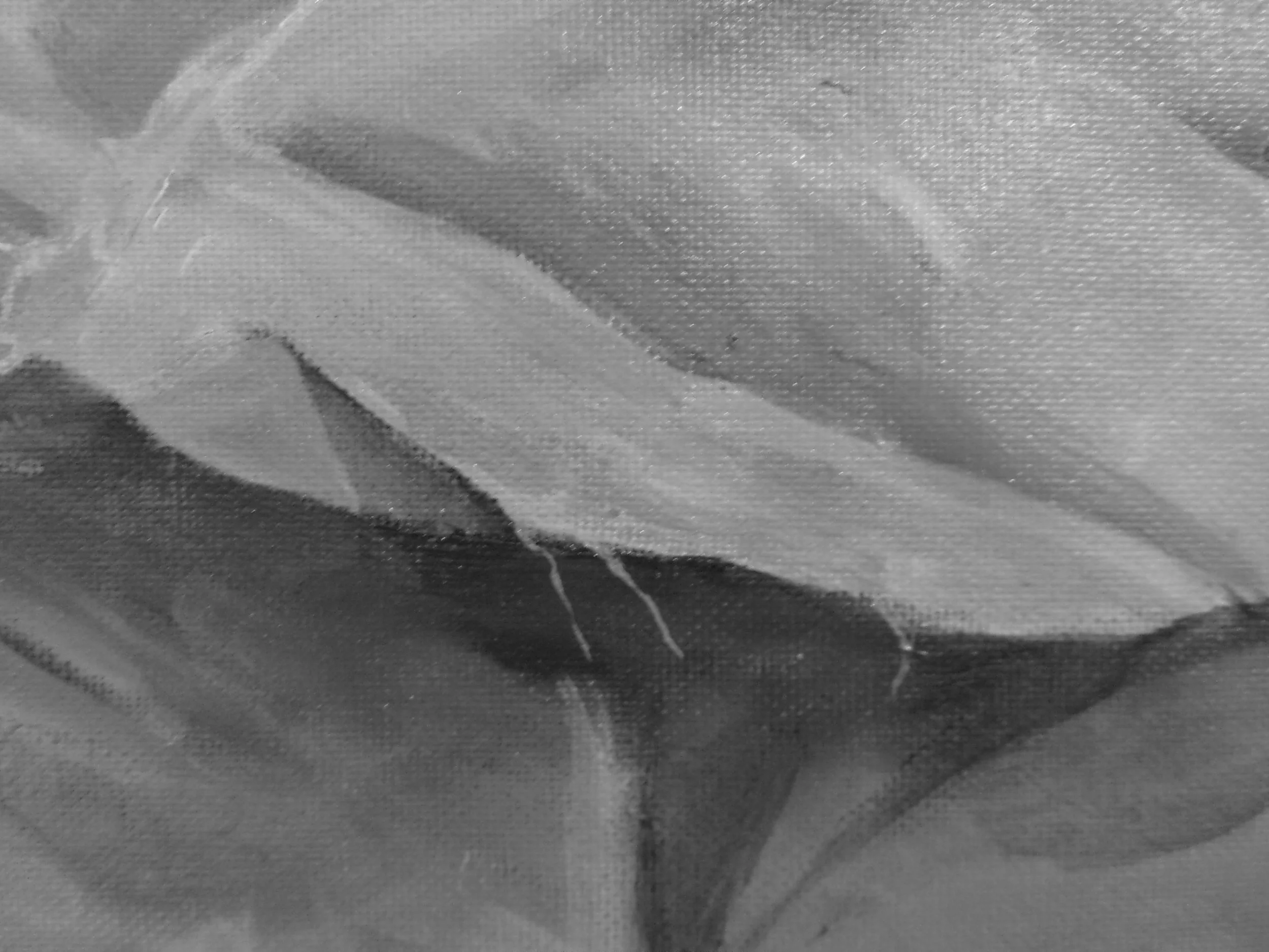 Torn Cloth, 2025