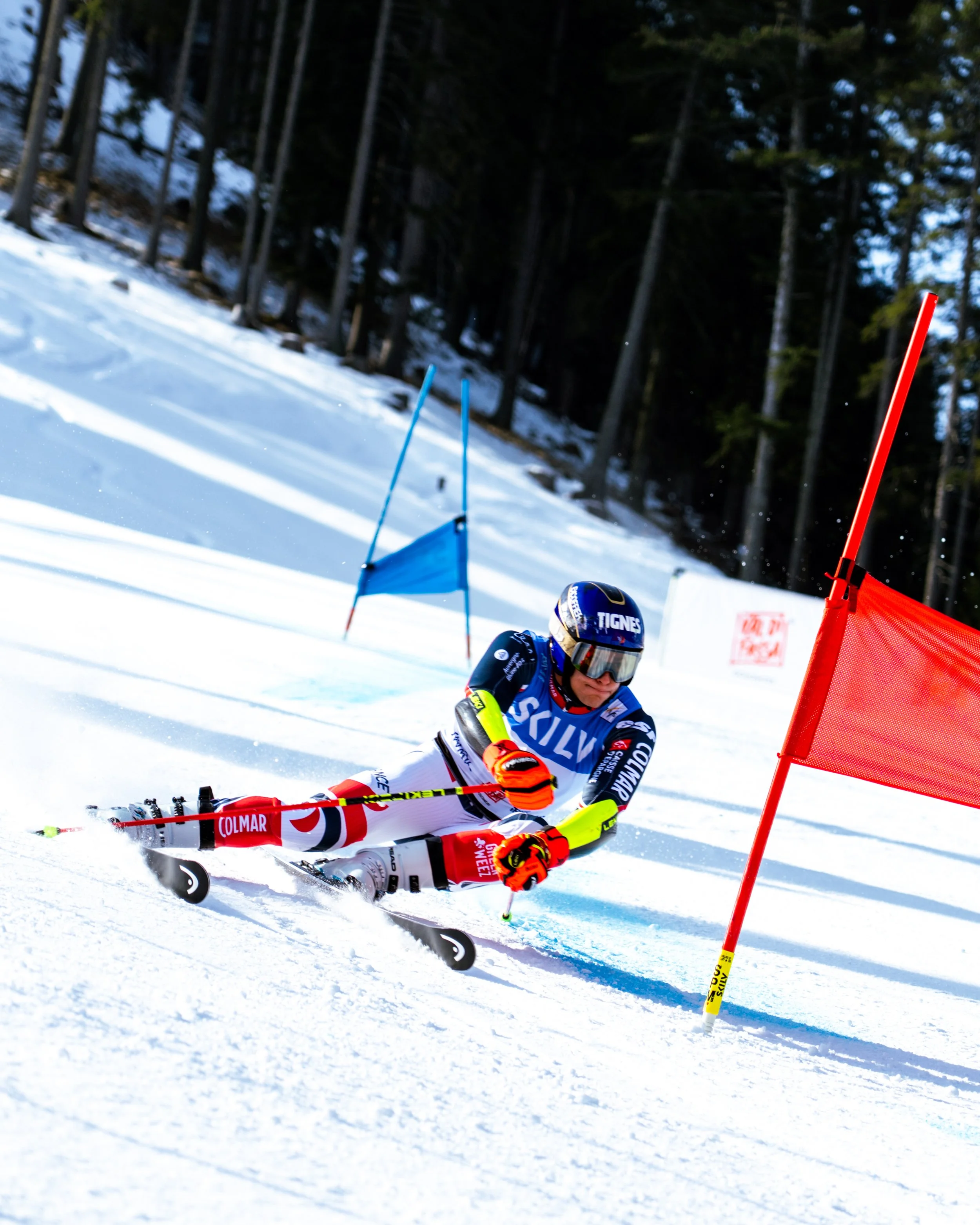 An alpine skier in colorful gear and a helmet is navigating a race course with flags in a snowy forested area.