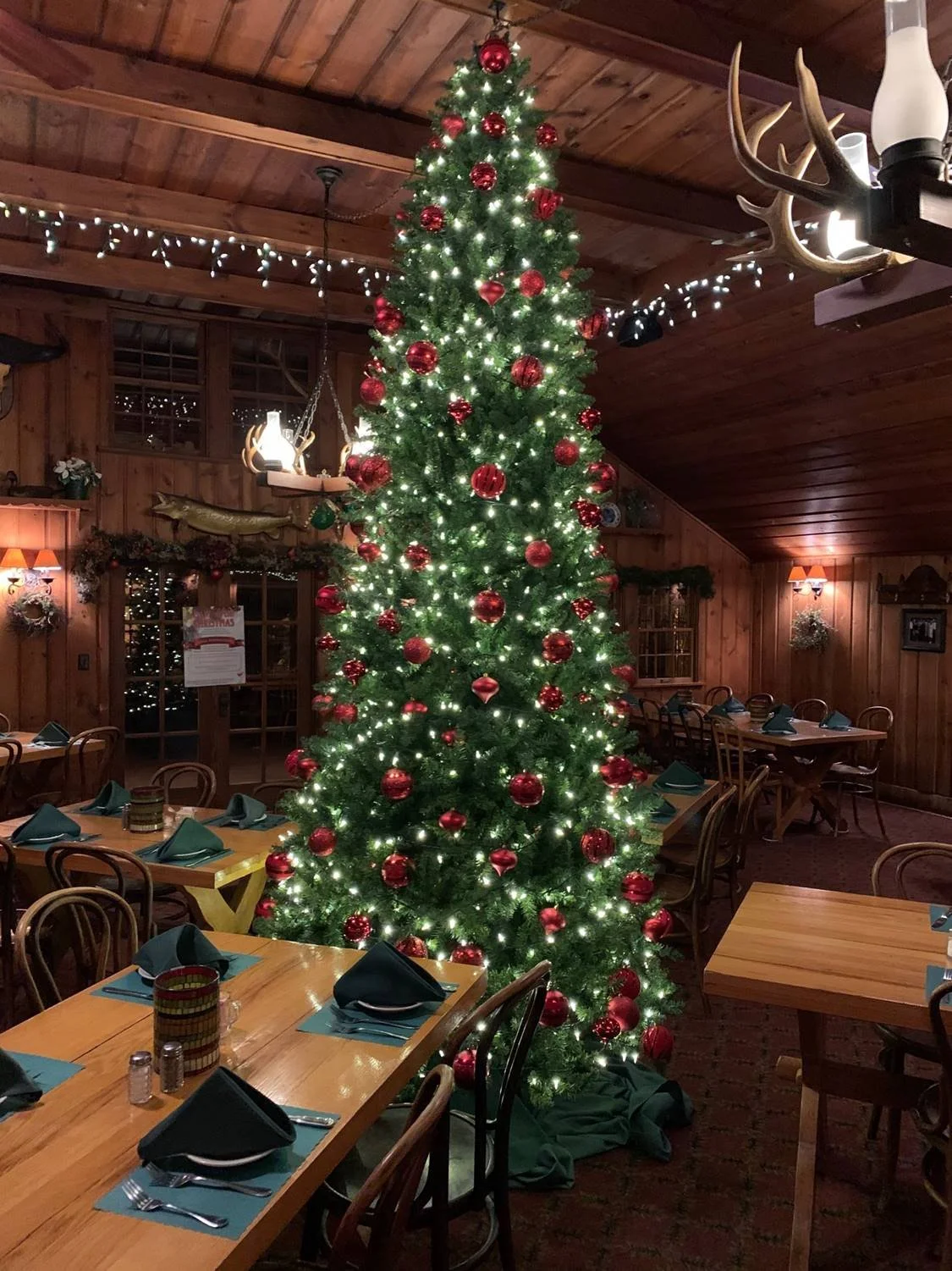 Large Christmas tree decorated with red ornaments and white lights in a rustic wood-paneled restaurant dining room with mounted antlers.