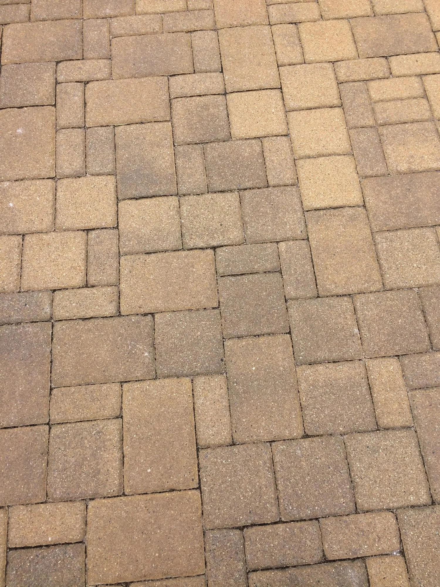 landscaping-12.jpg