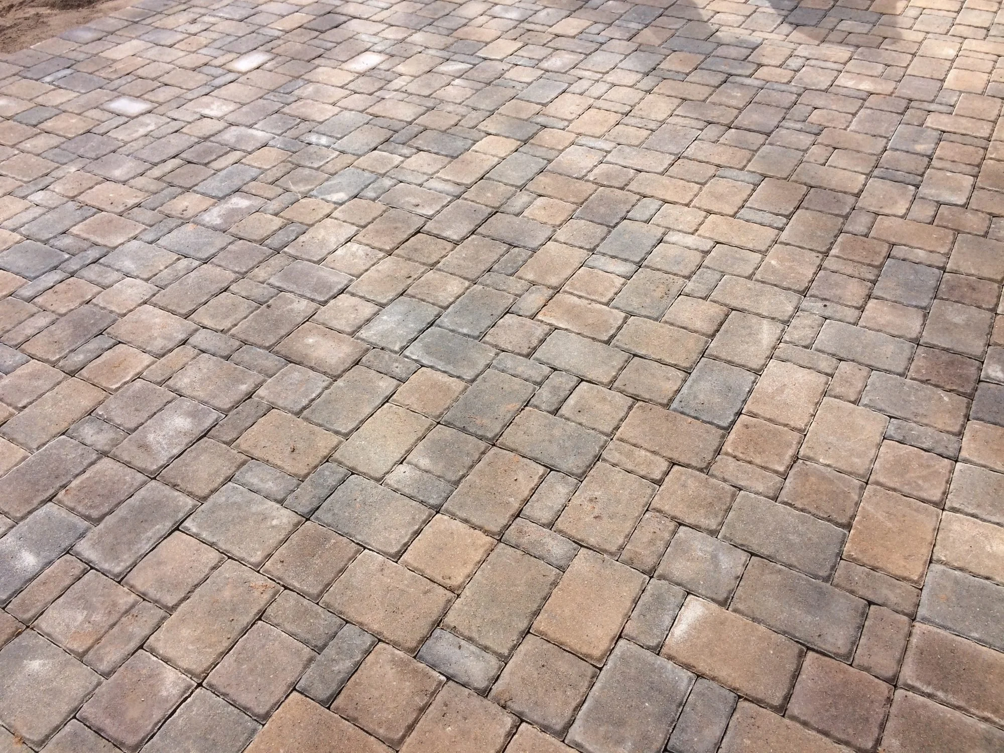 landscaping-39.jpg