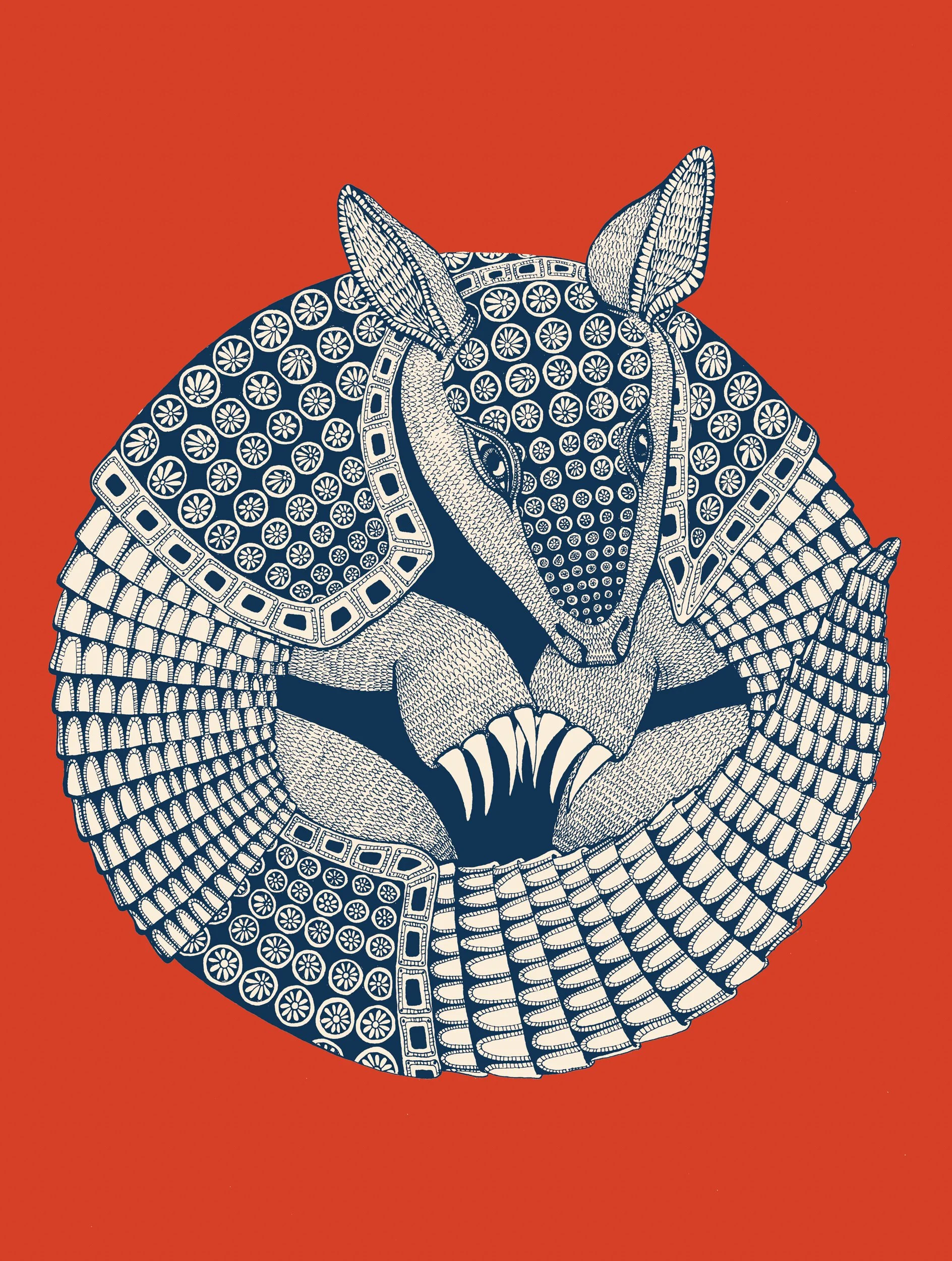 "Armadillo" Postcard