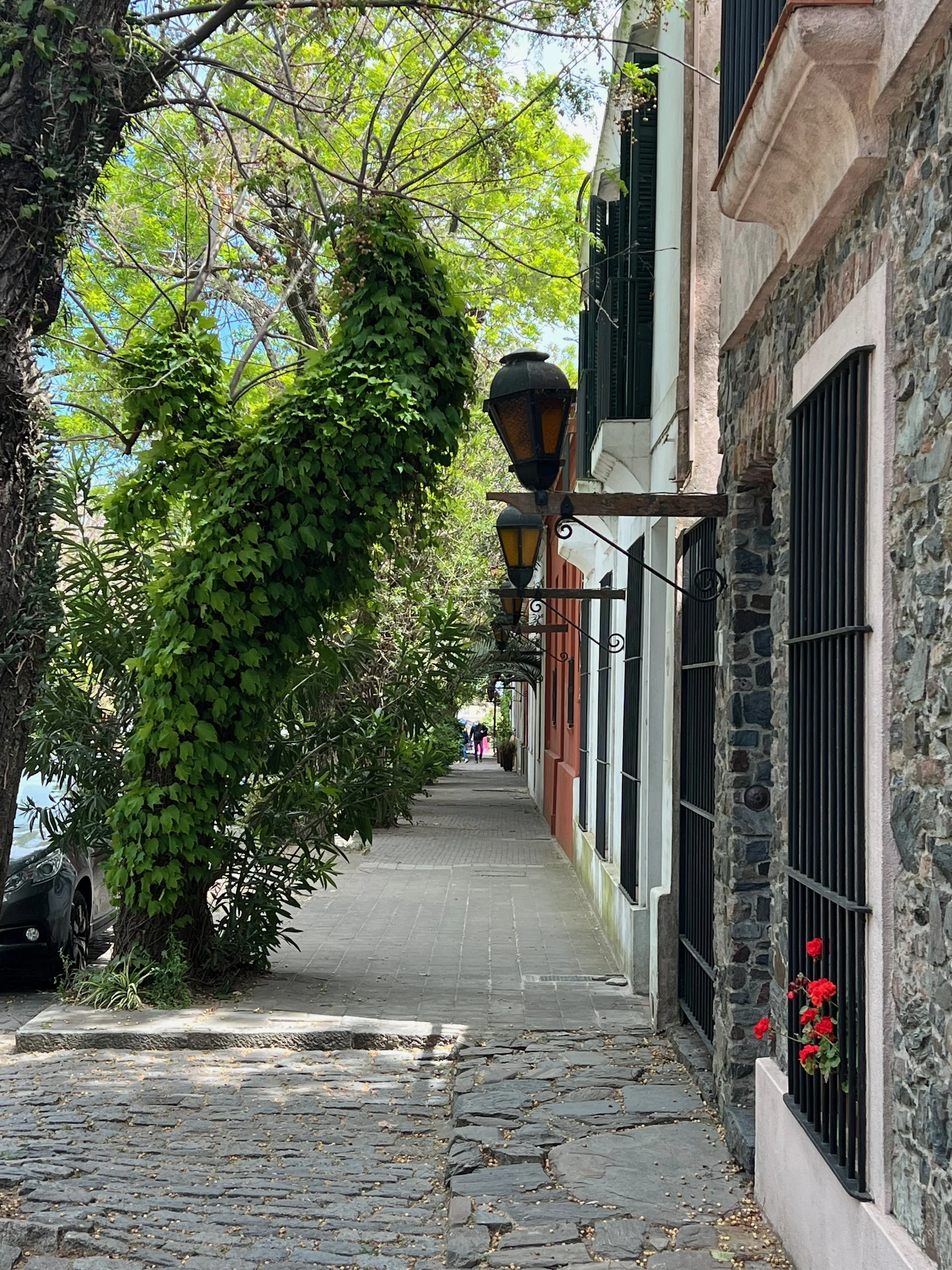 Tree-lined cobblestone street with iron lanterns in Colonia del Sacramento, Uruguay