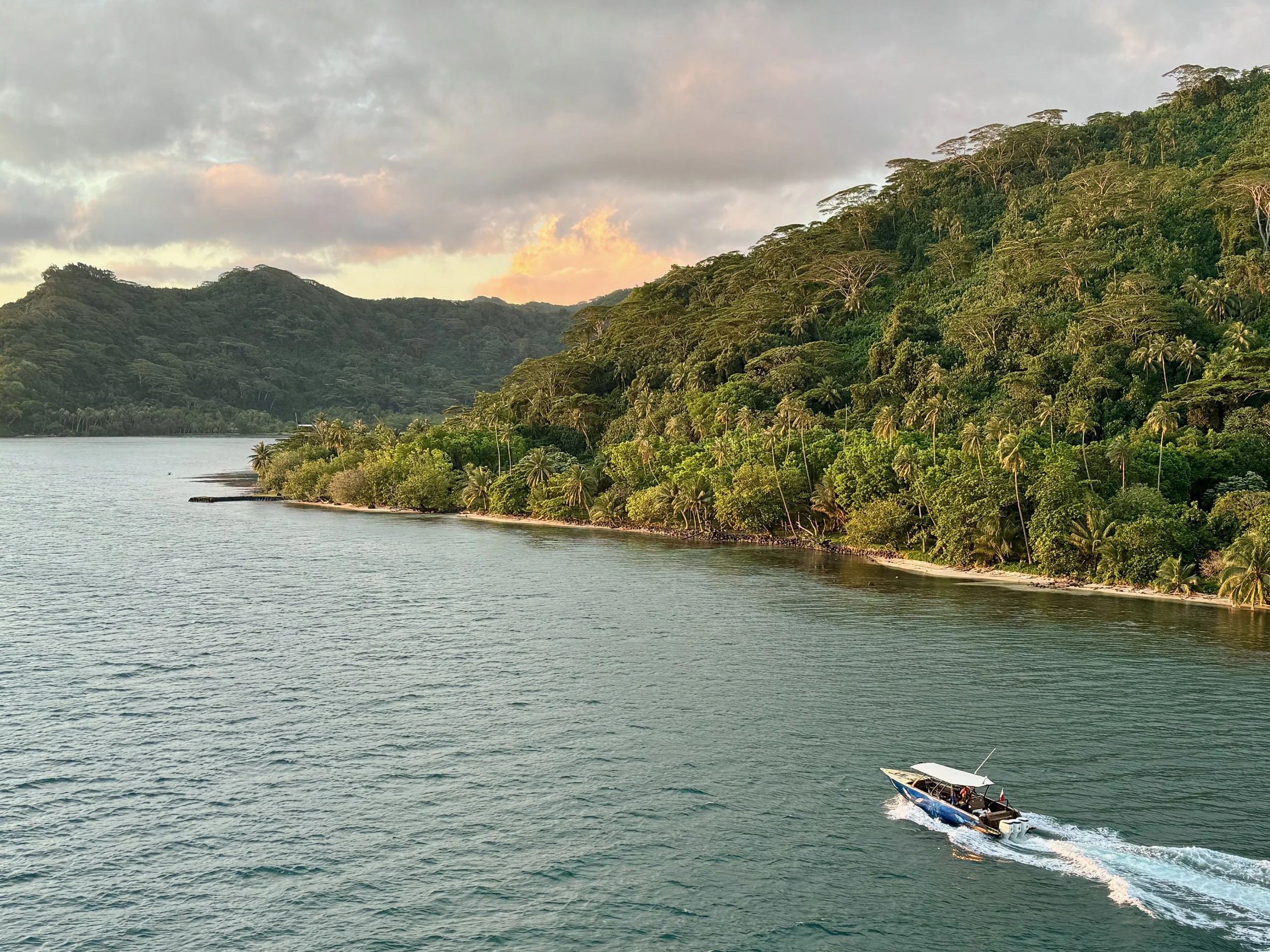 Boat cruising past a lush green coastline in French Polynesia at sunset